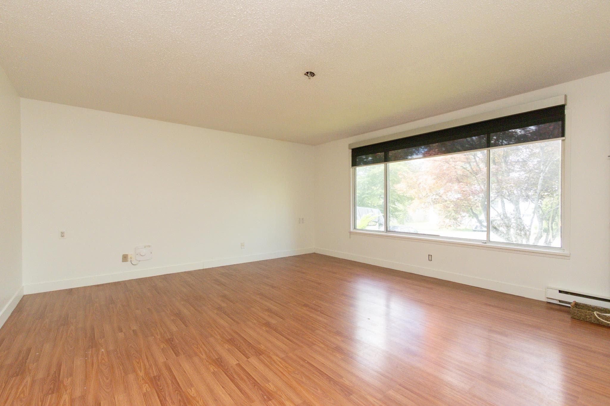 14448 106 Avenue, Surrey, V3R 1T1 — photo 4