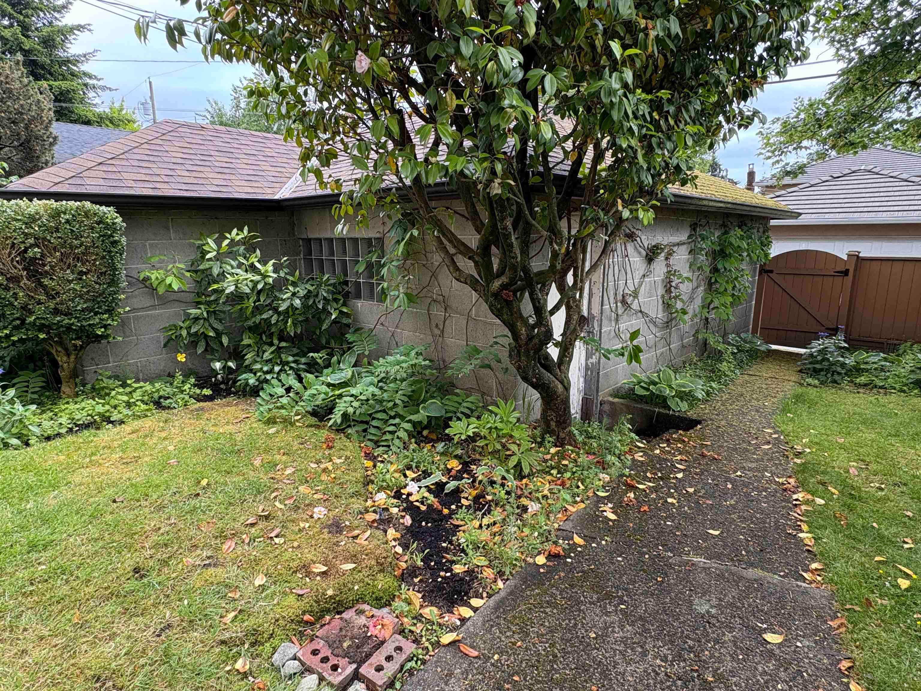 312 E 46th Avenue, Vancouver, V5W 1Z8 — photo 3