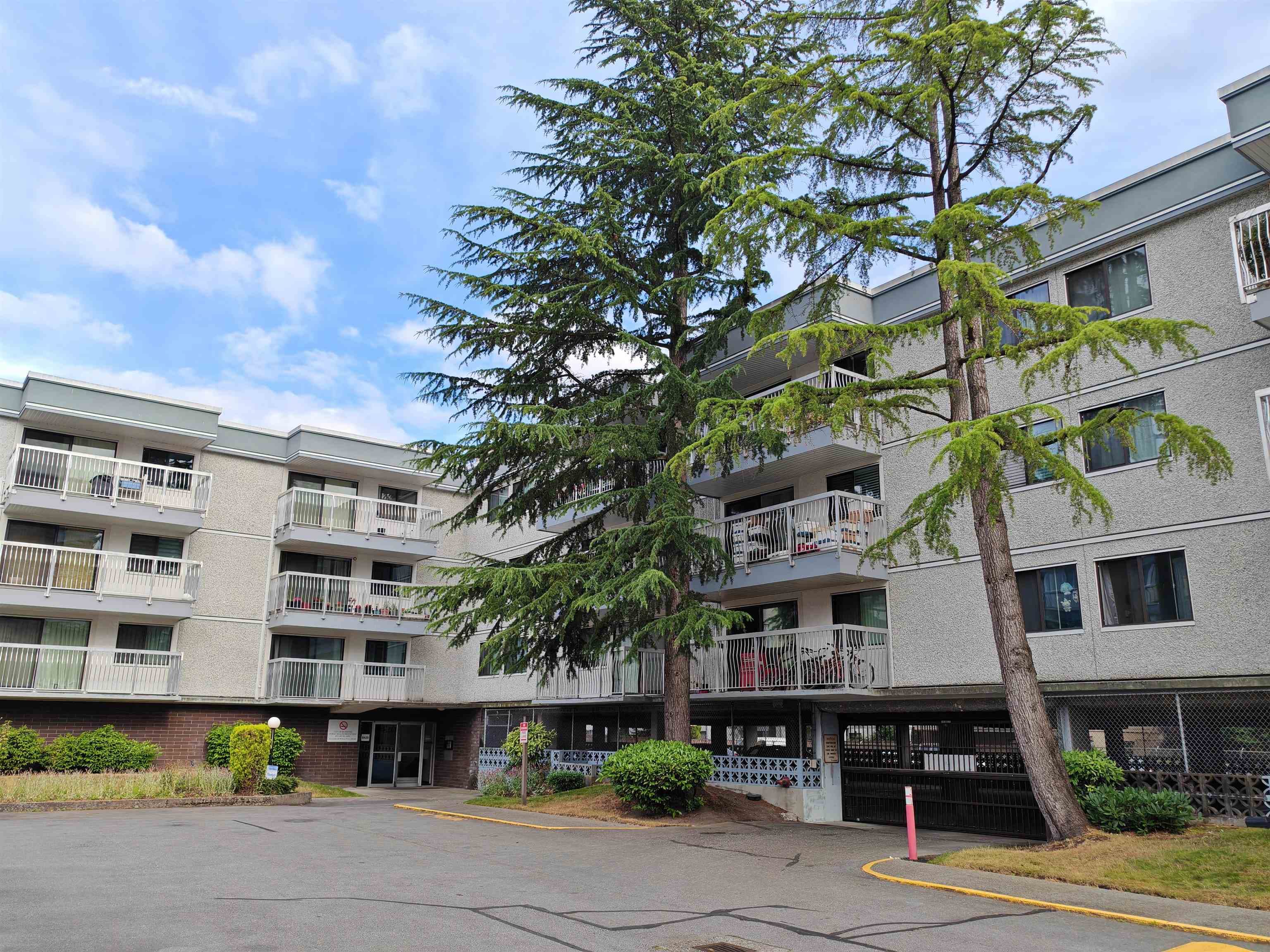 101 - 6420 Buswell Street, Richmond