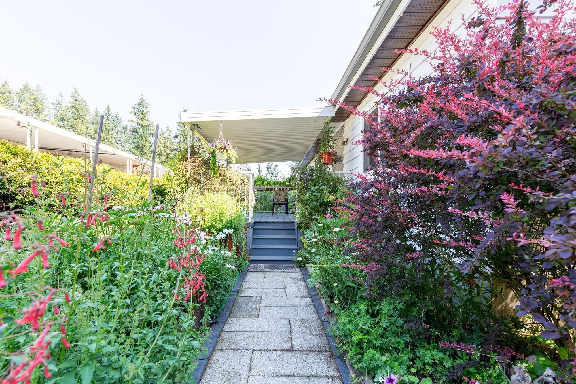 204 - 20071 24 Avenue, Langley, V2Z 2A1 — photo 5
