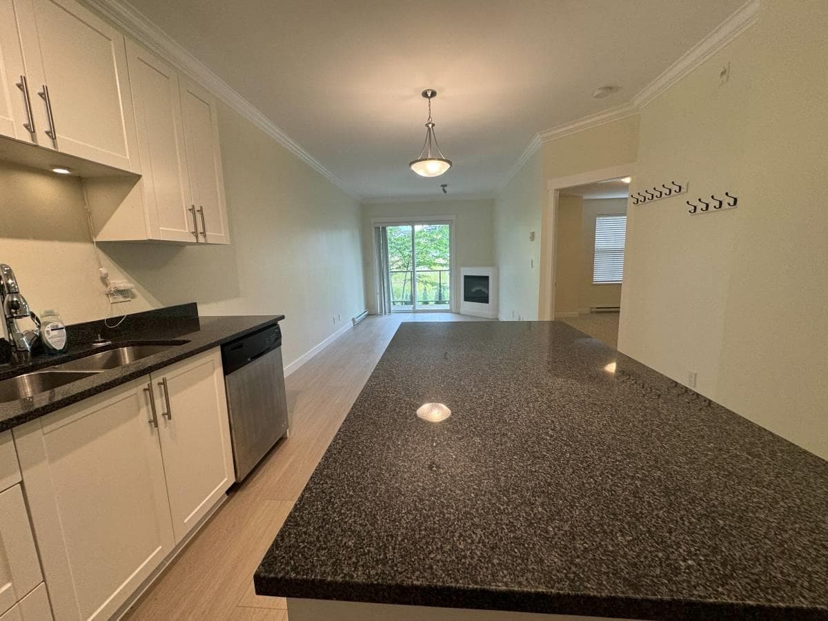 203 - 11580 223 St, Maple Ridge, V2X 9H1 — photo 5