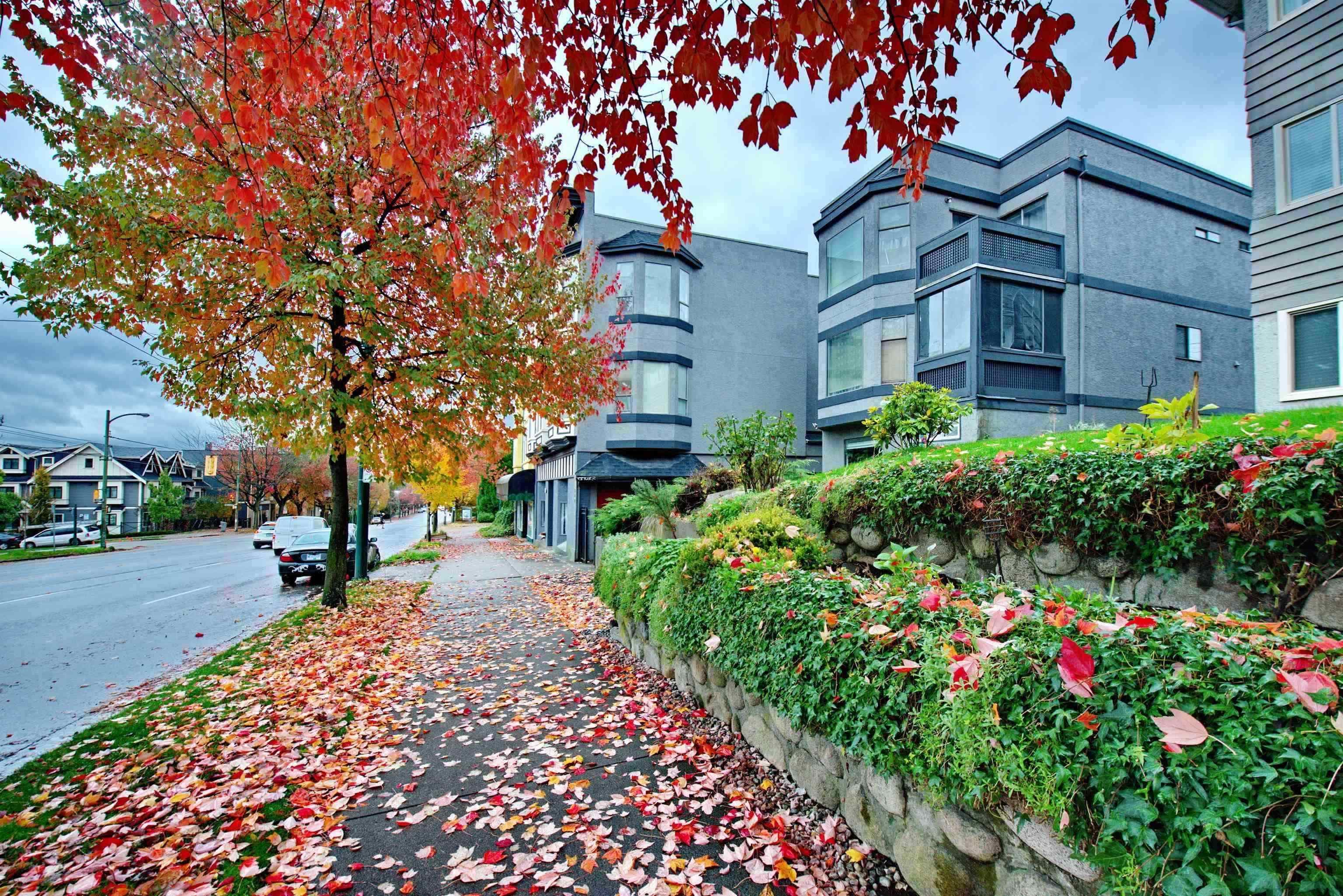 2 - 862 E Broadway, Vancouver, V5T 1Y1 — photo 4