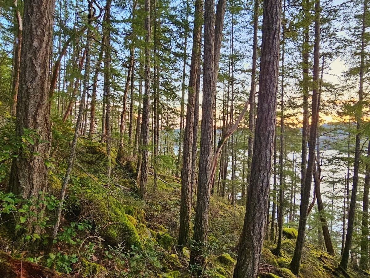 Lot 108 Seaview Road, Sechelt