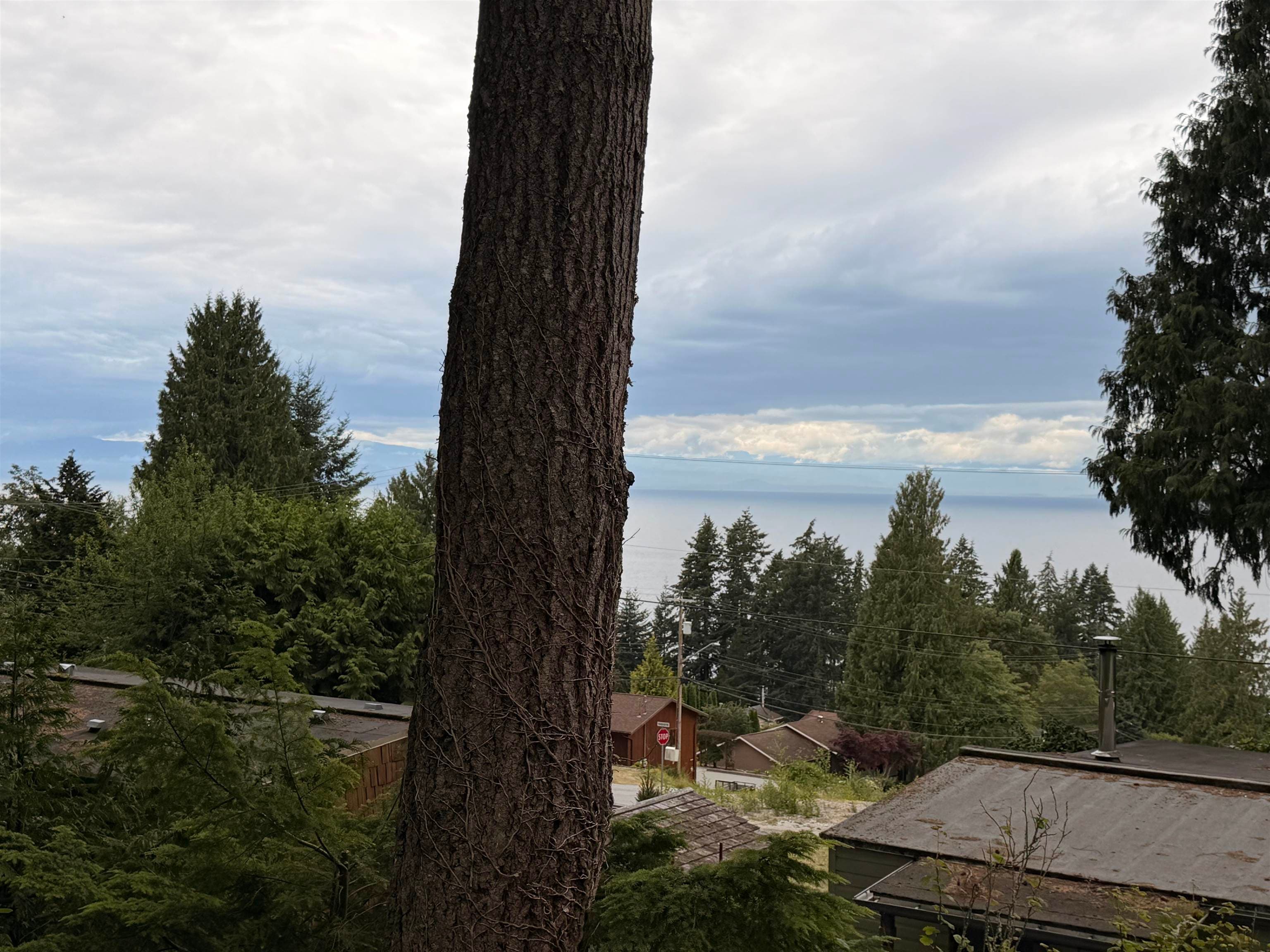 7 - 5294 Selma Park Road, Sechelt, V0N 3A2 — photo 5