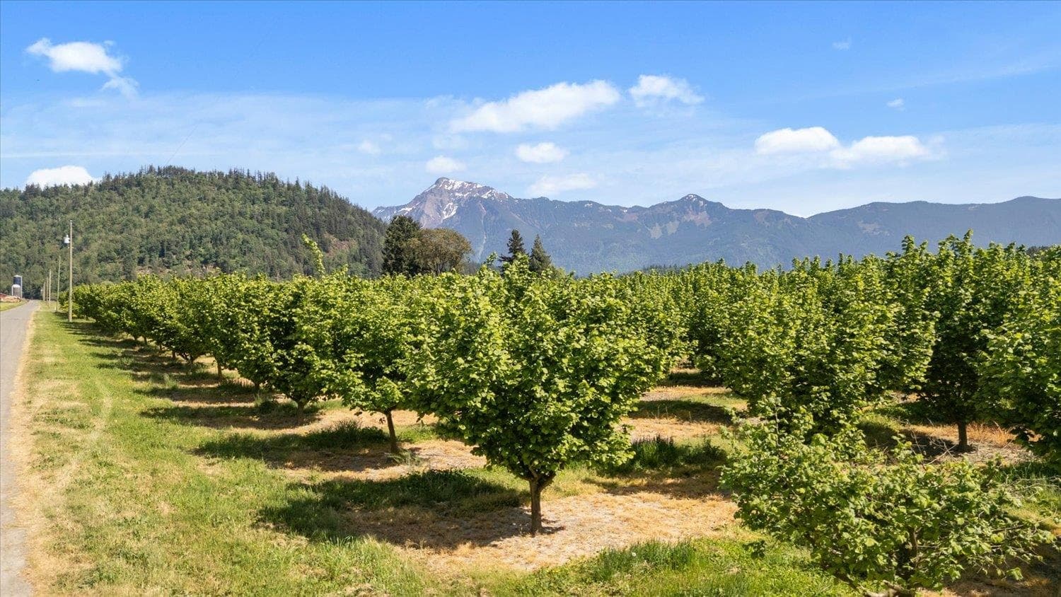 4602 Hunt Road, Agassiz, V0M 1A3 — photo 4