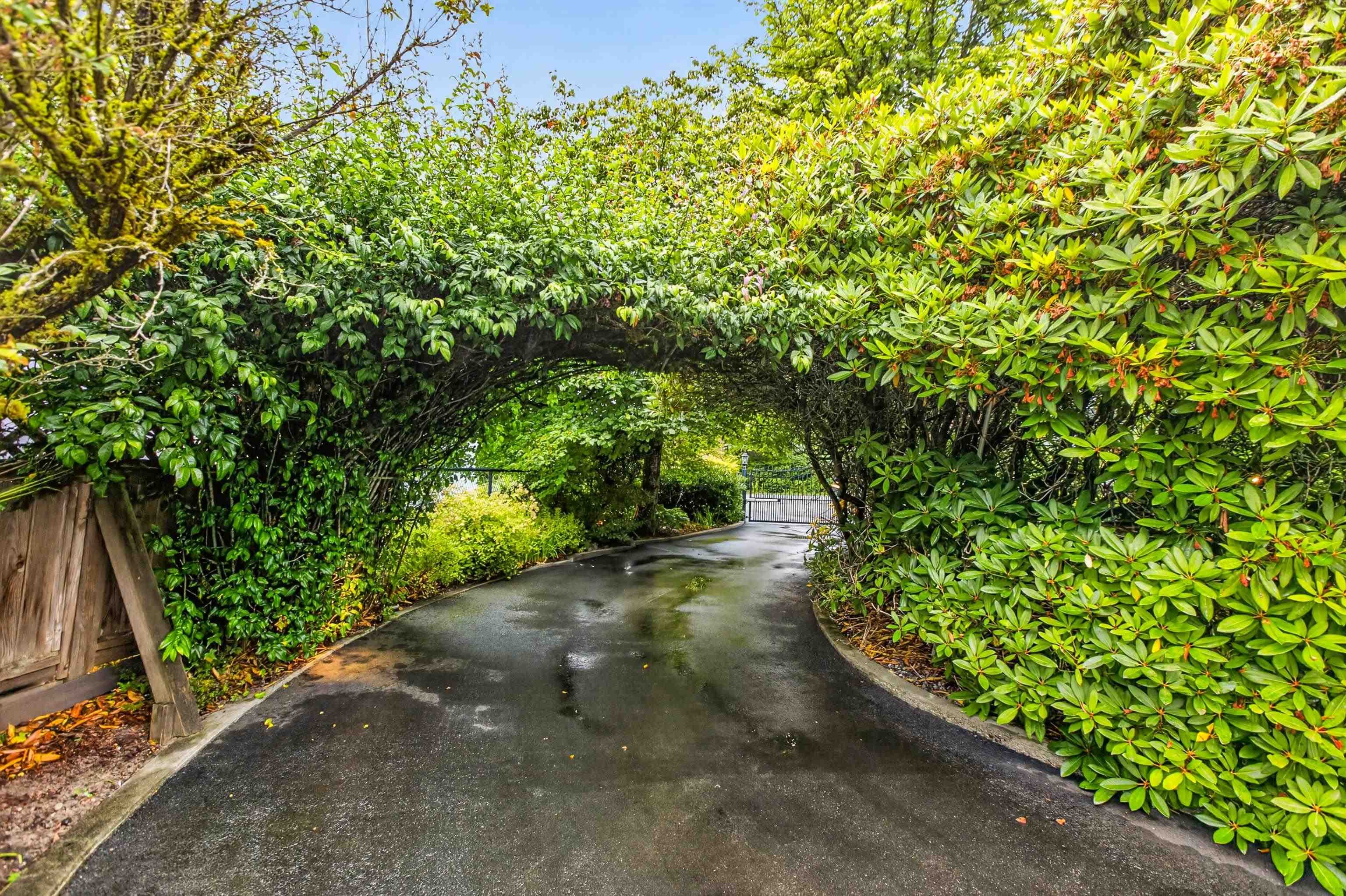 21662 River Road, Maple Ridge, V2X 2B7 — photo 3