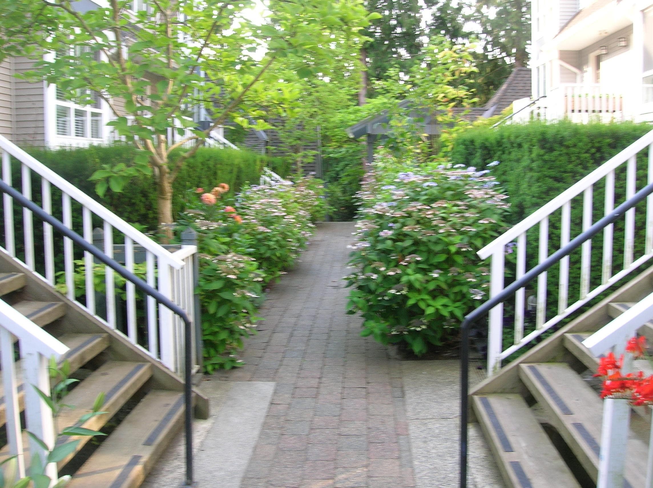 11 - 1015 Lynn Valley Road, North Vancouver, V7J 1Z6 — photo 3