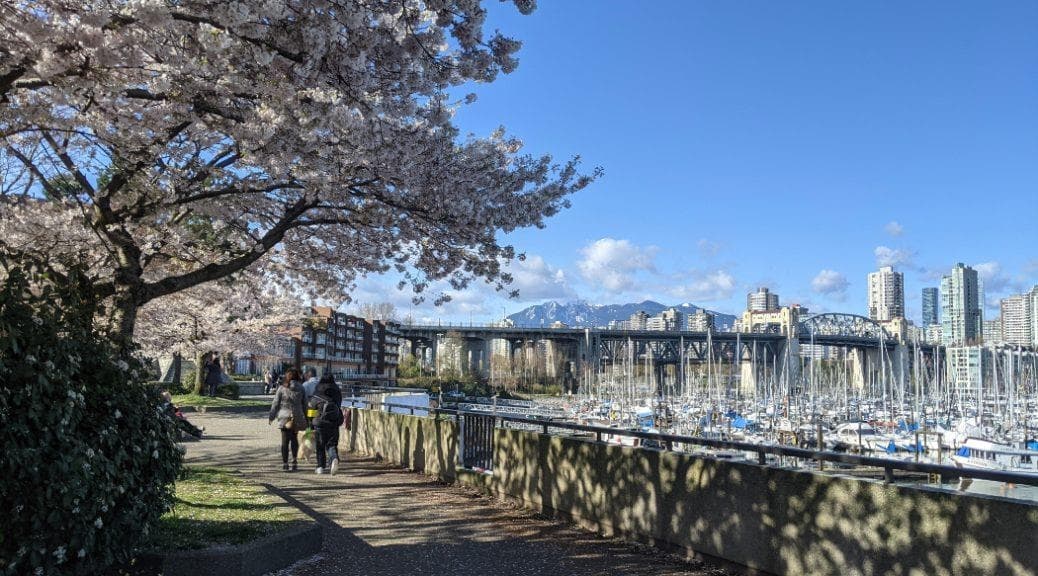 129 Regiment Square, Vancouver, V6B 1X5 — photo 3