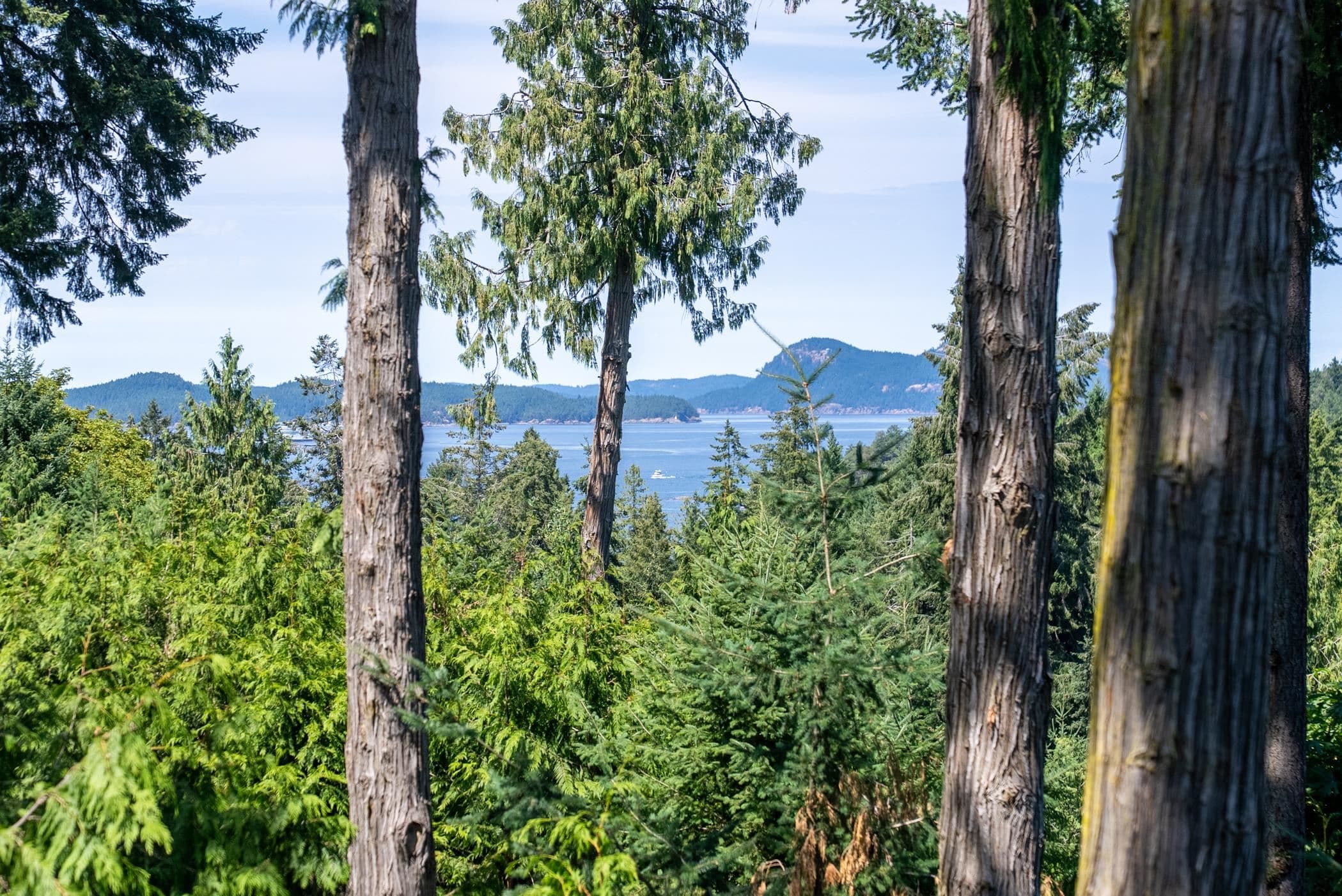 2610 Gunwhale Road, Pender Island, V0N 2M2 — photo 4