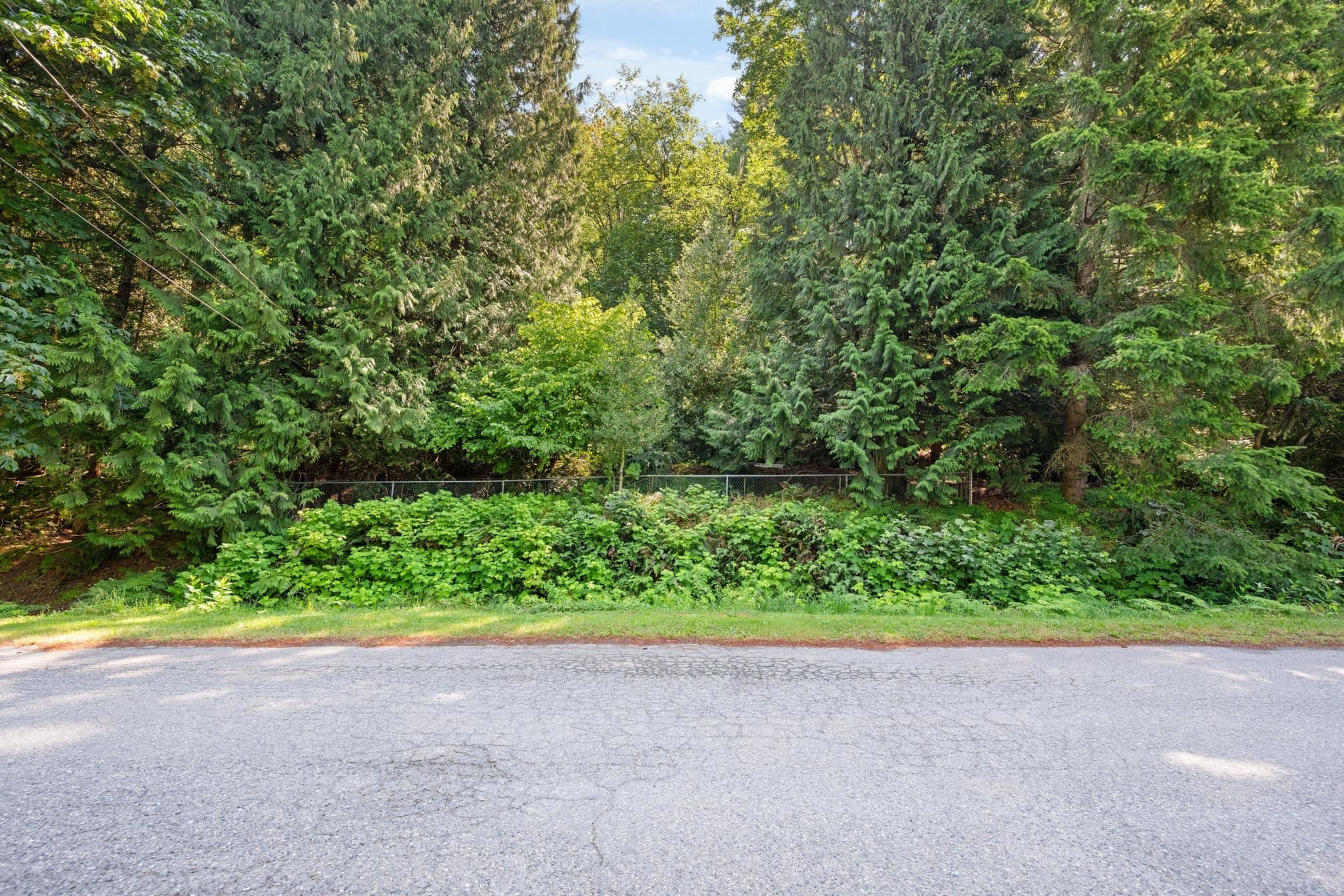 3680 Vance Road, Cultus Lake, V2R 5A6 — photo 2