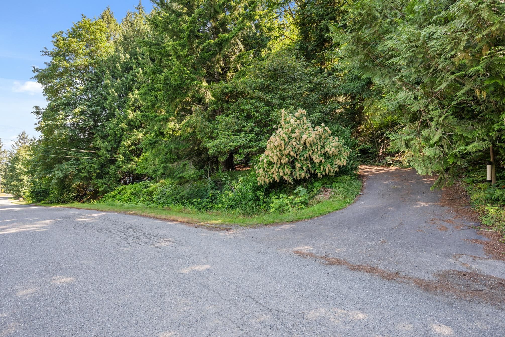 3680 Vance Road, Cultus Lake, V2R 5A6 — photo 3