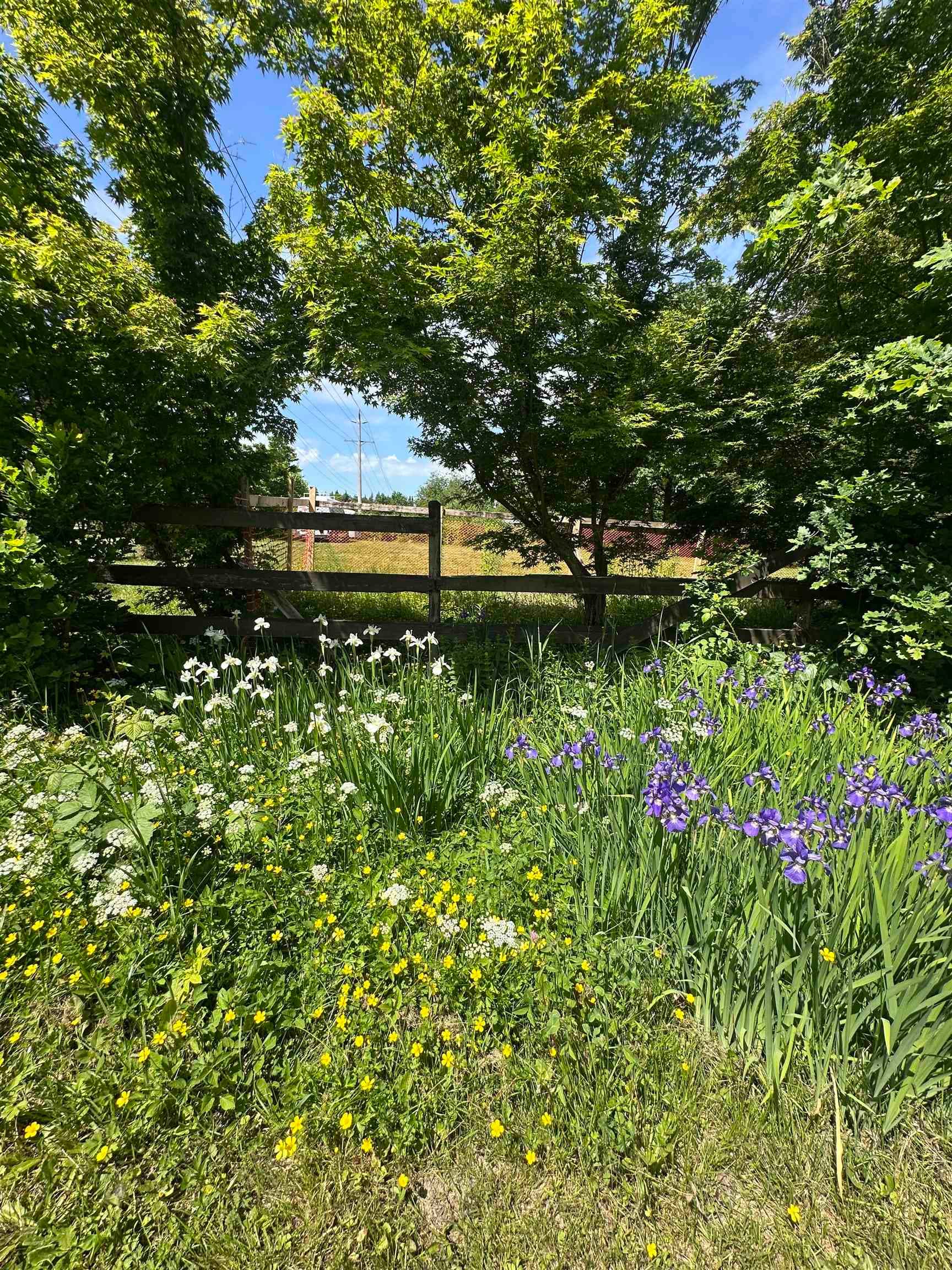 LOT 1 Royal Street, Langley, V1M 2S1 — photo 4