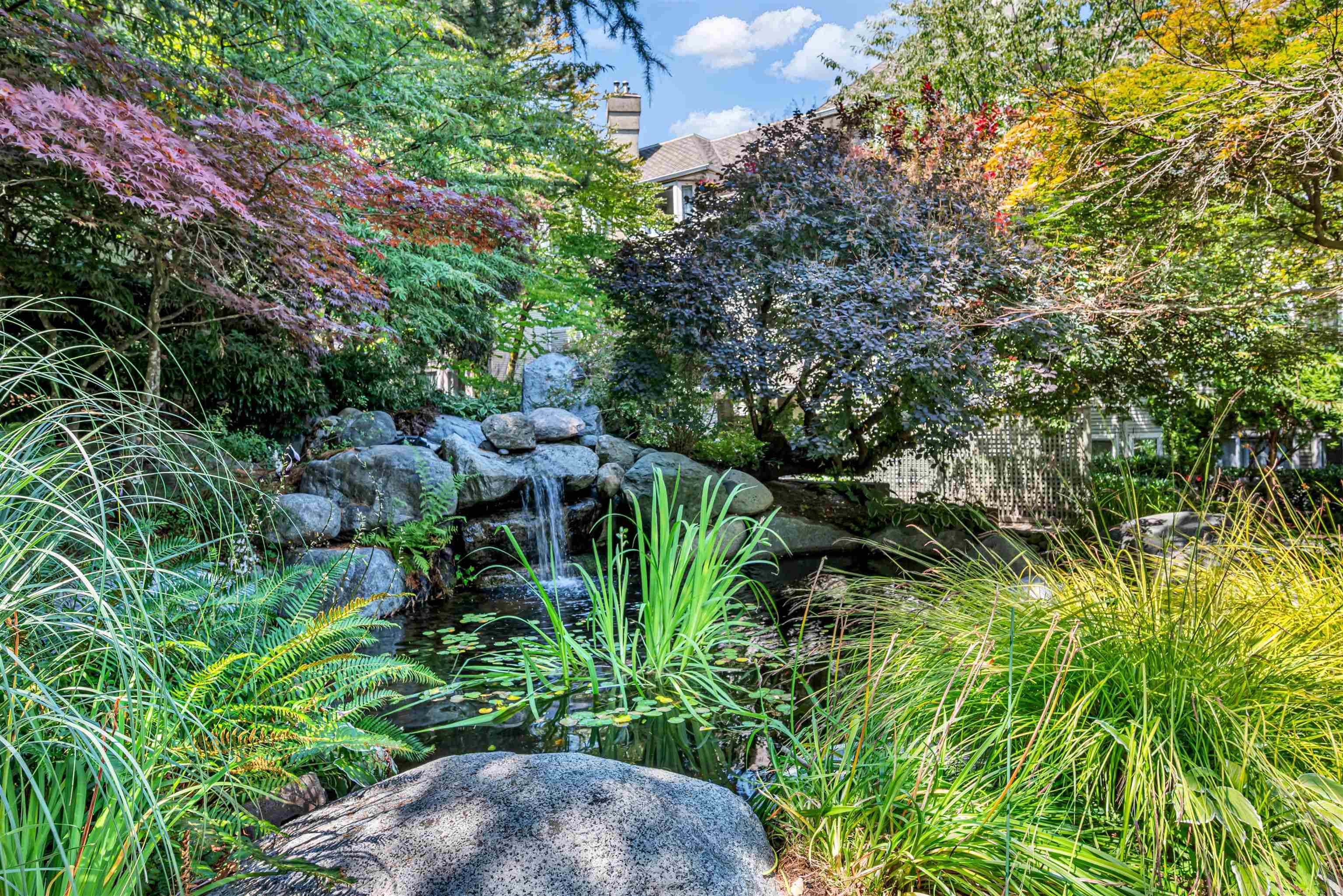 101 - 3733 Norfolk Street, Burnaby, V5G 4V5 — photo 2