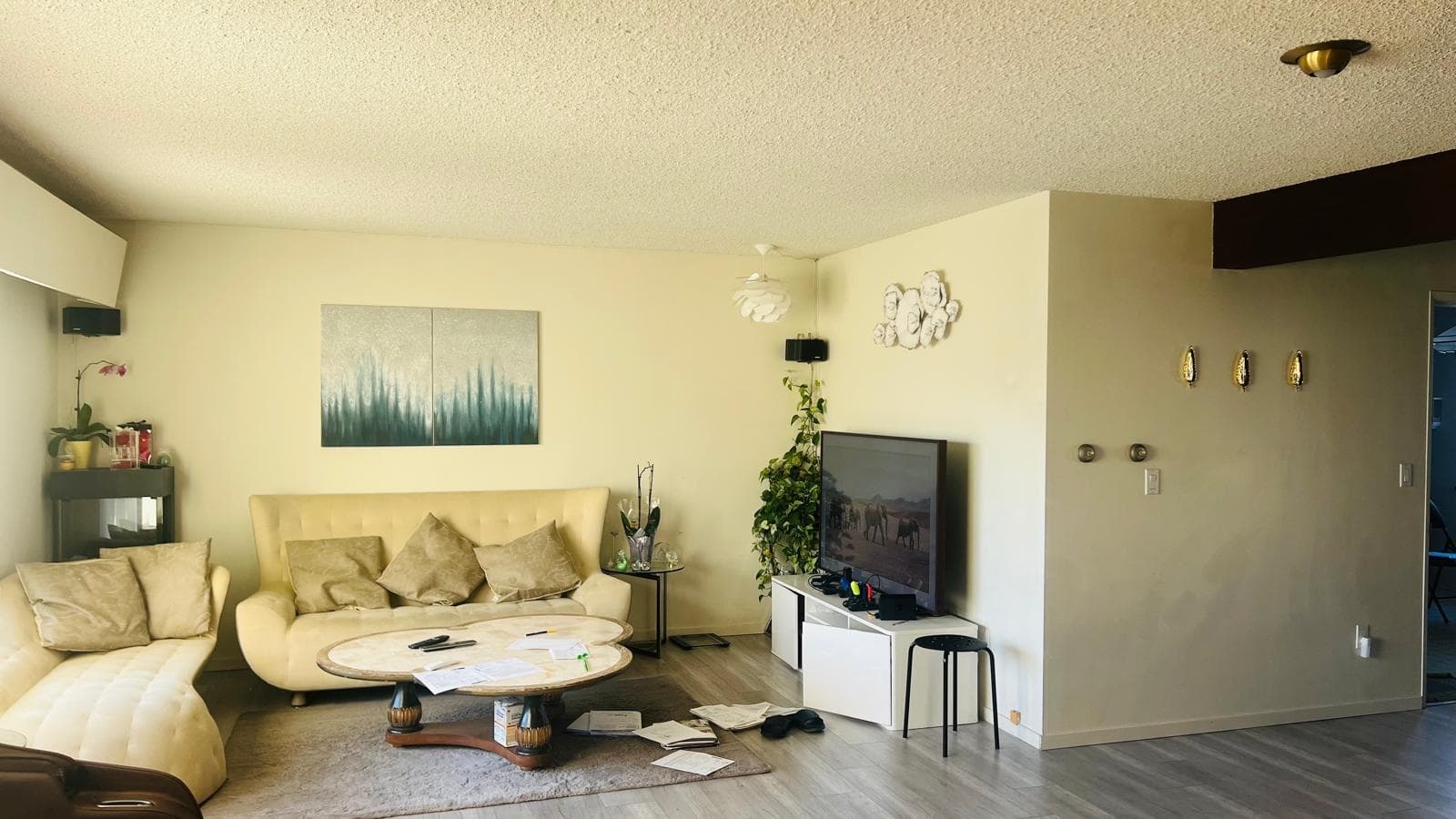753 E 55th Avenue, Vancouver, V5X 1N8 — photo 3