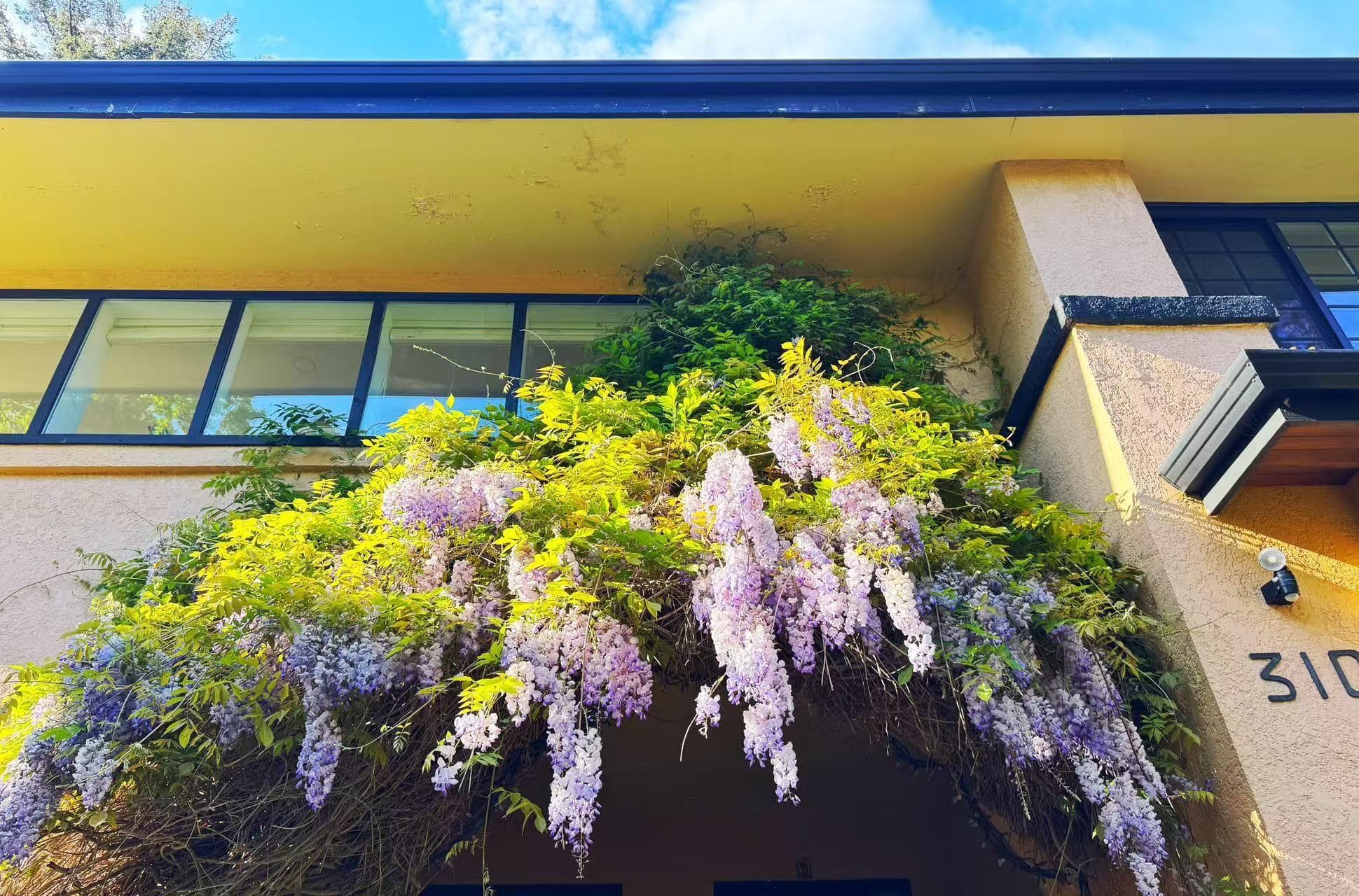 Main Floor - 310 St. James Road, North Vancouver, V7N 1L2 — photo 3