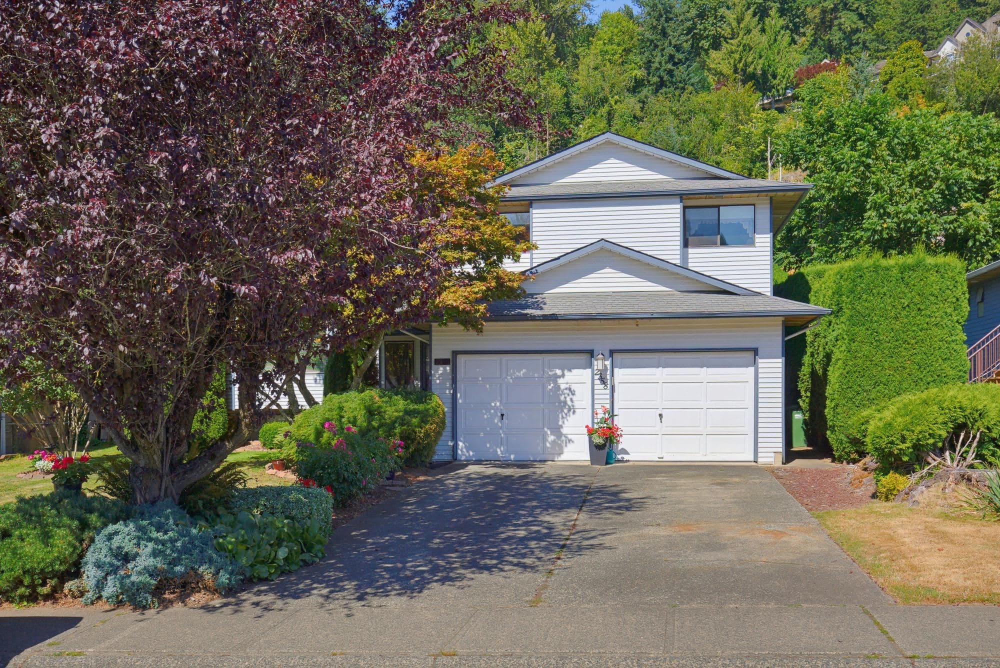 2358 Cameron Crescent, Abbotsford, V2S 5W4 — photo 1