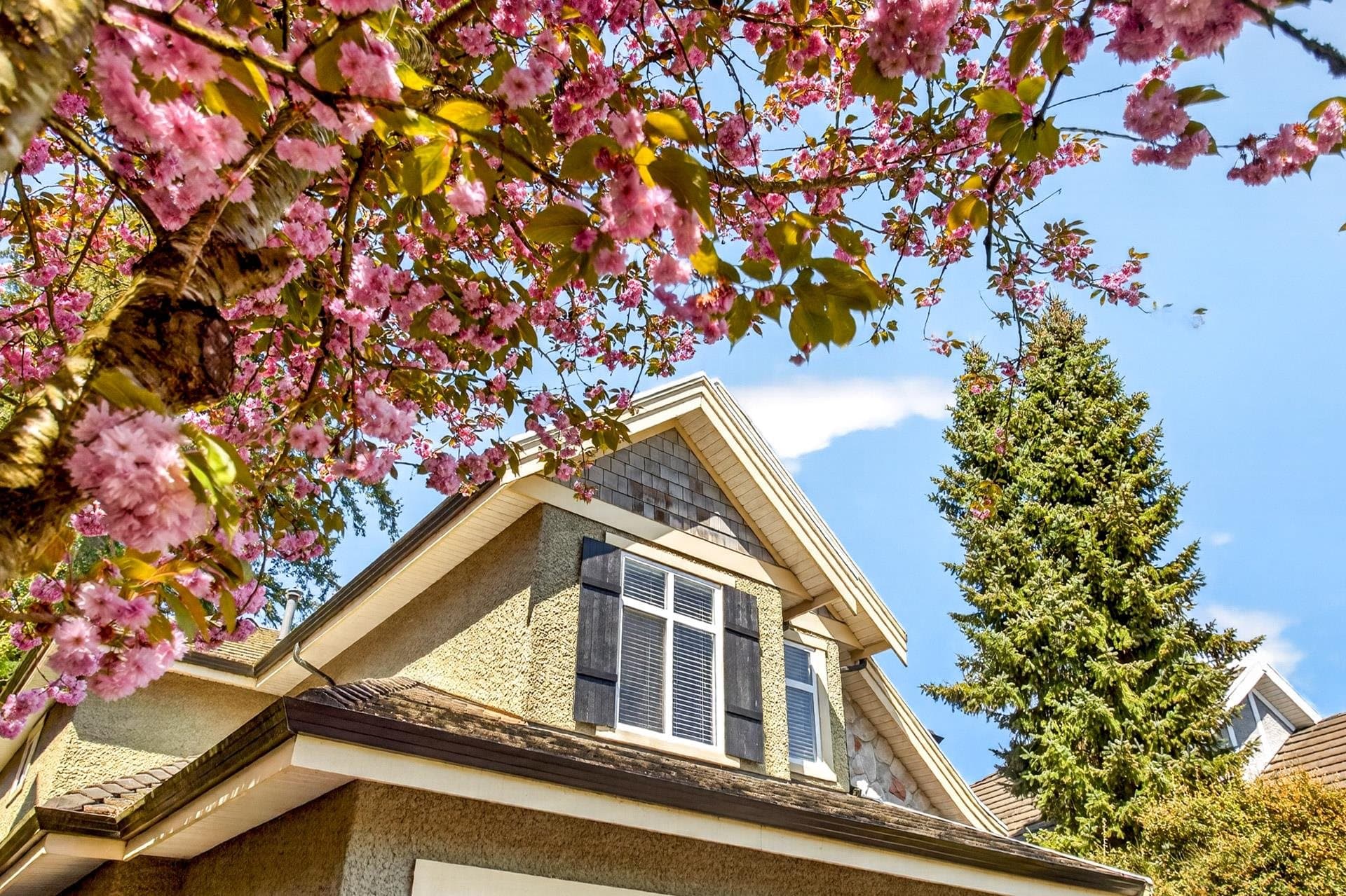 3825 154 Street, Surrey, V3Z 0V2 — photo 3