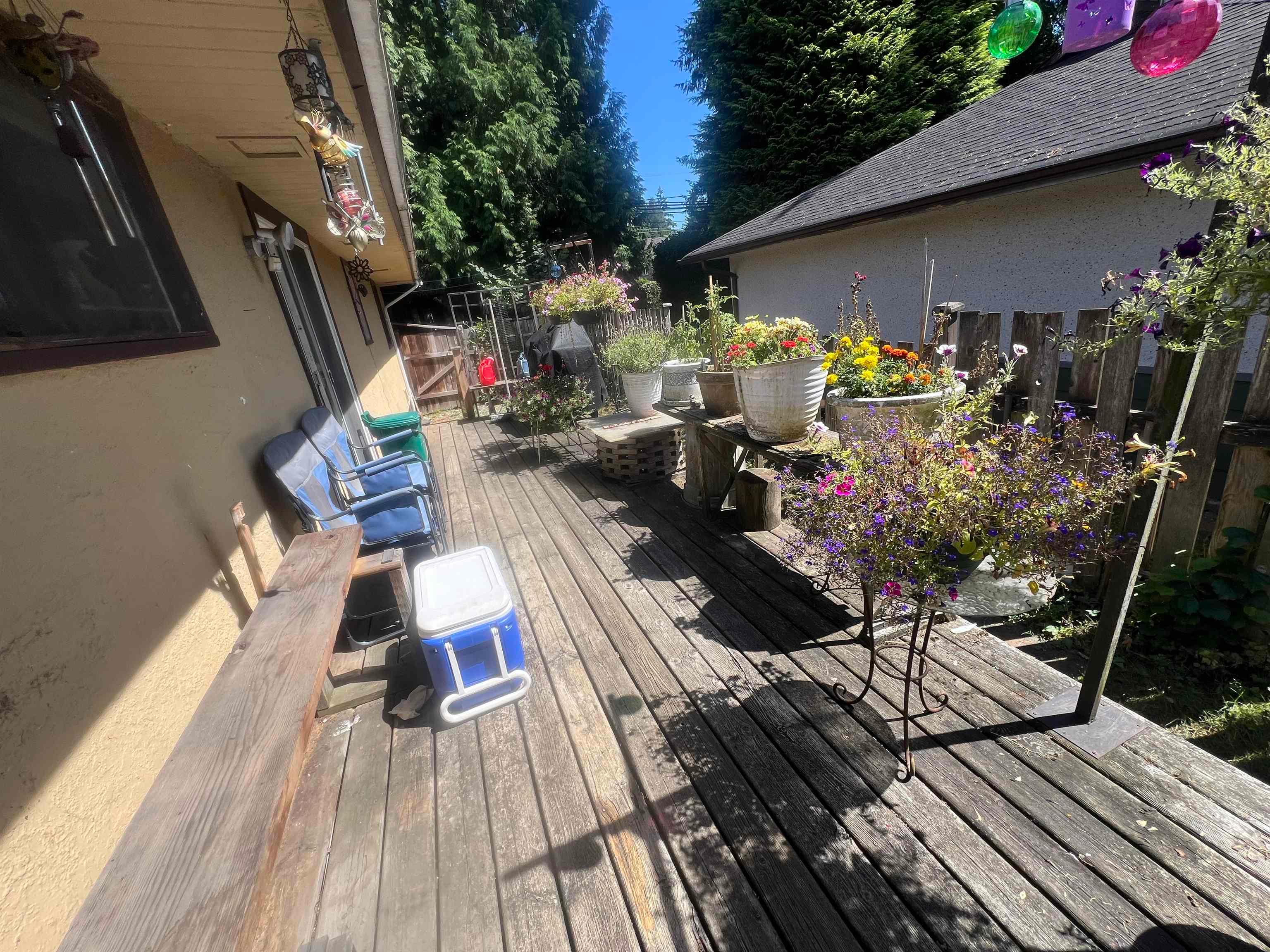 21584 122nd Avenue, Maple Ridge, V2X 3W6 — photo 3
