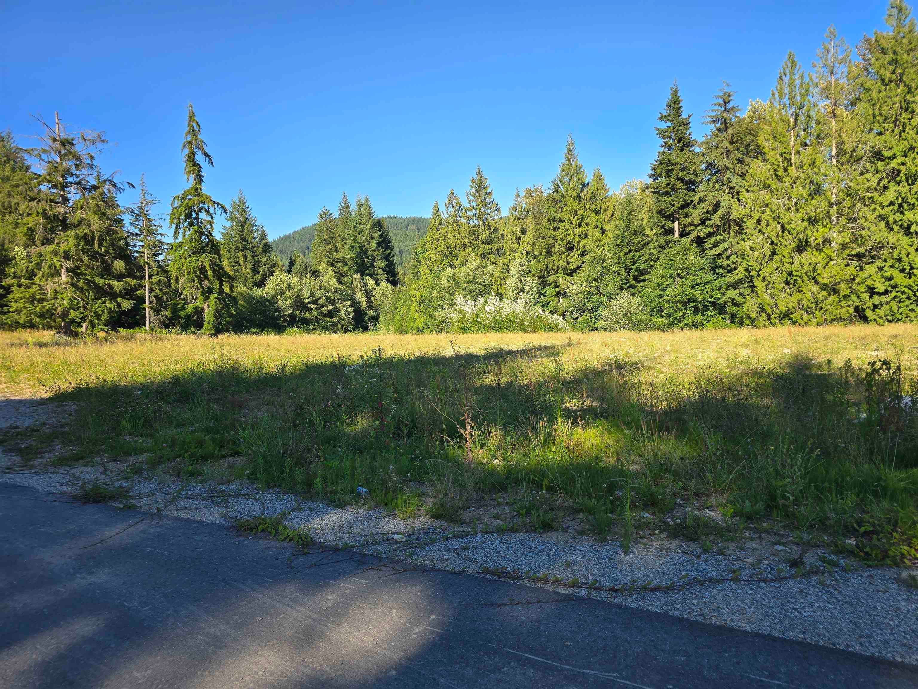 32221 Richards Avenue, Mission, V4S 1K8 — photo 4