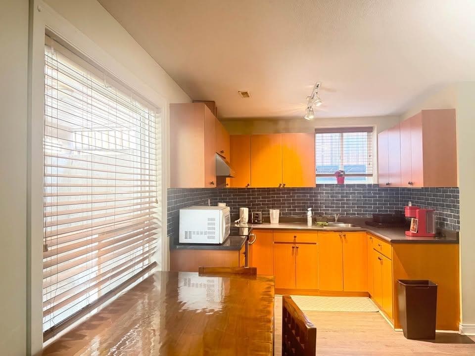 Basement - 159xx 89a Avenue, Surrey