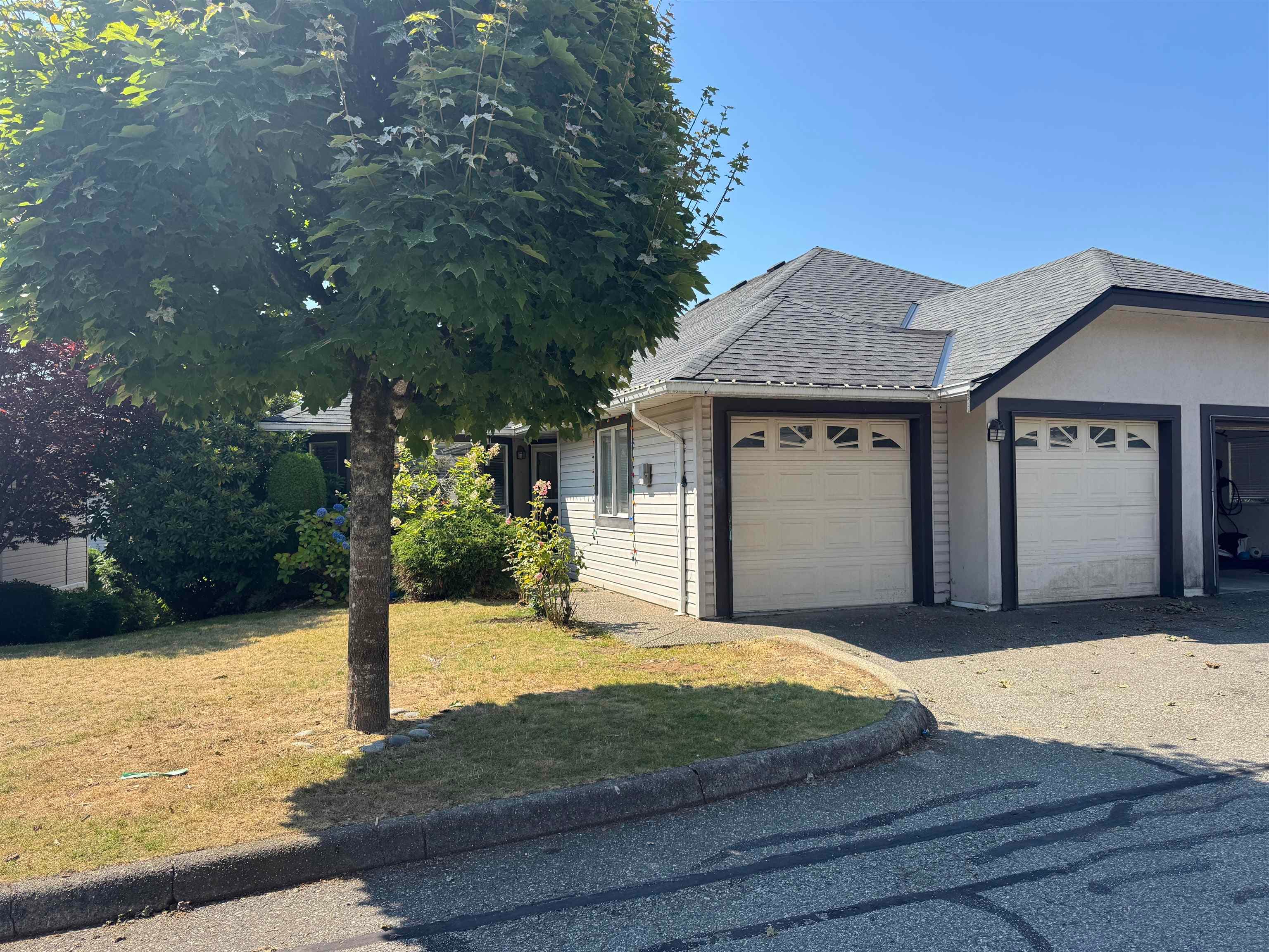 167 - 3160 Townline Road, Abbotsford