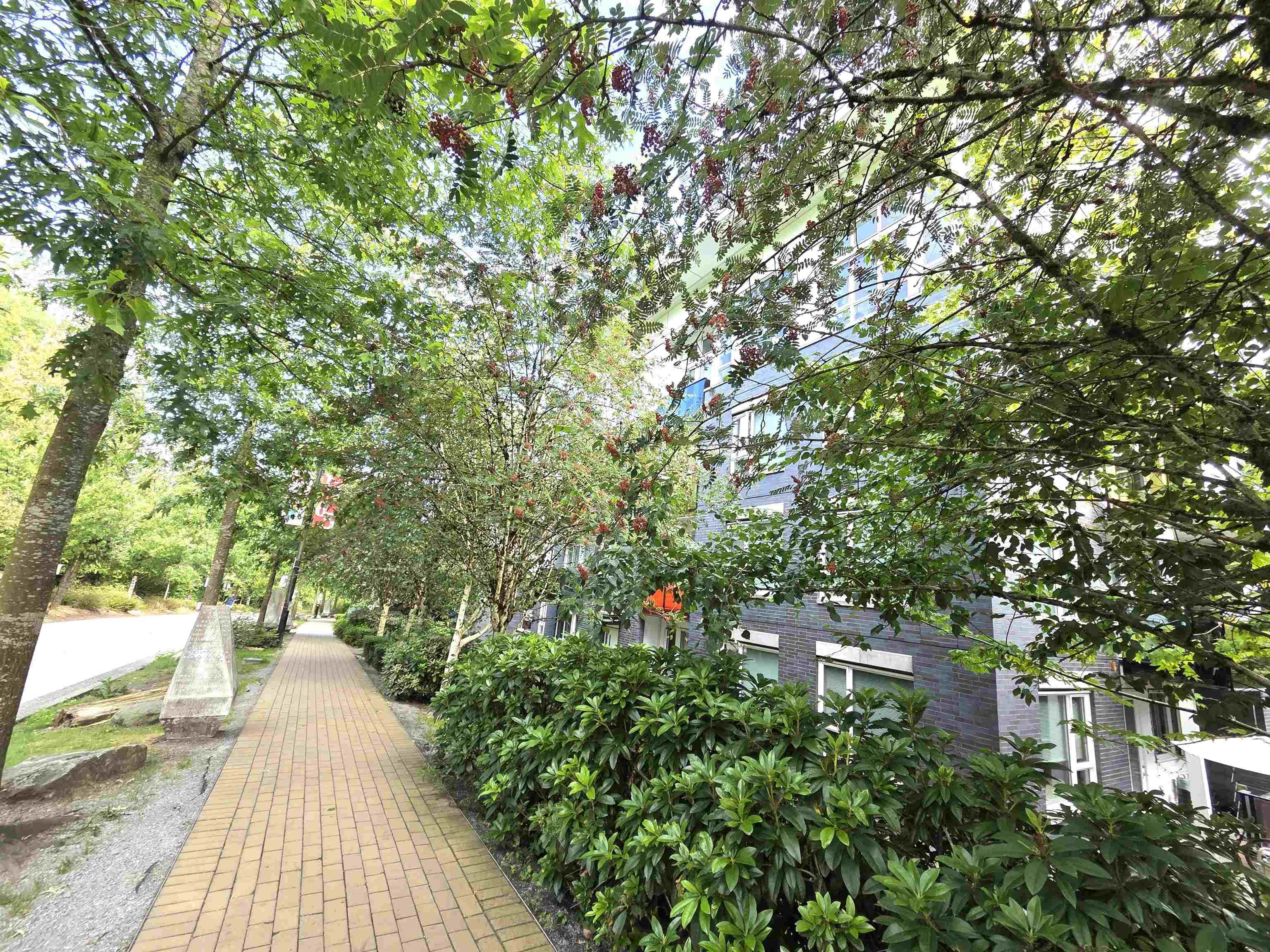 111 - 9250 University High Street, Burnaby, V5A 0B3 — photo 4