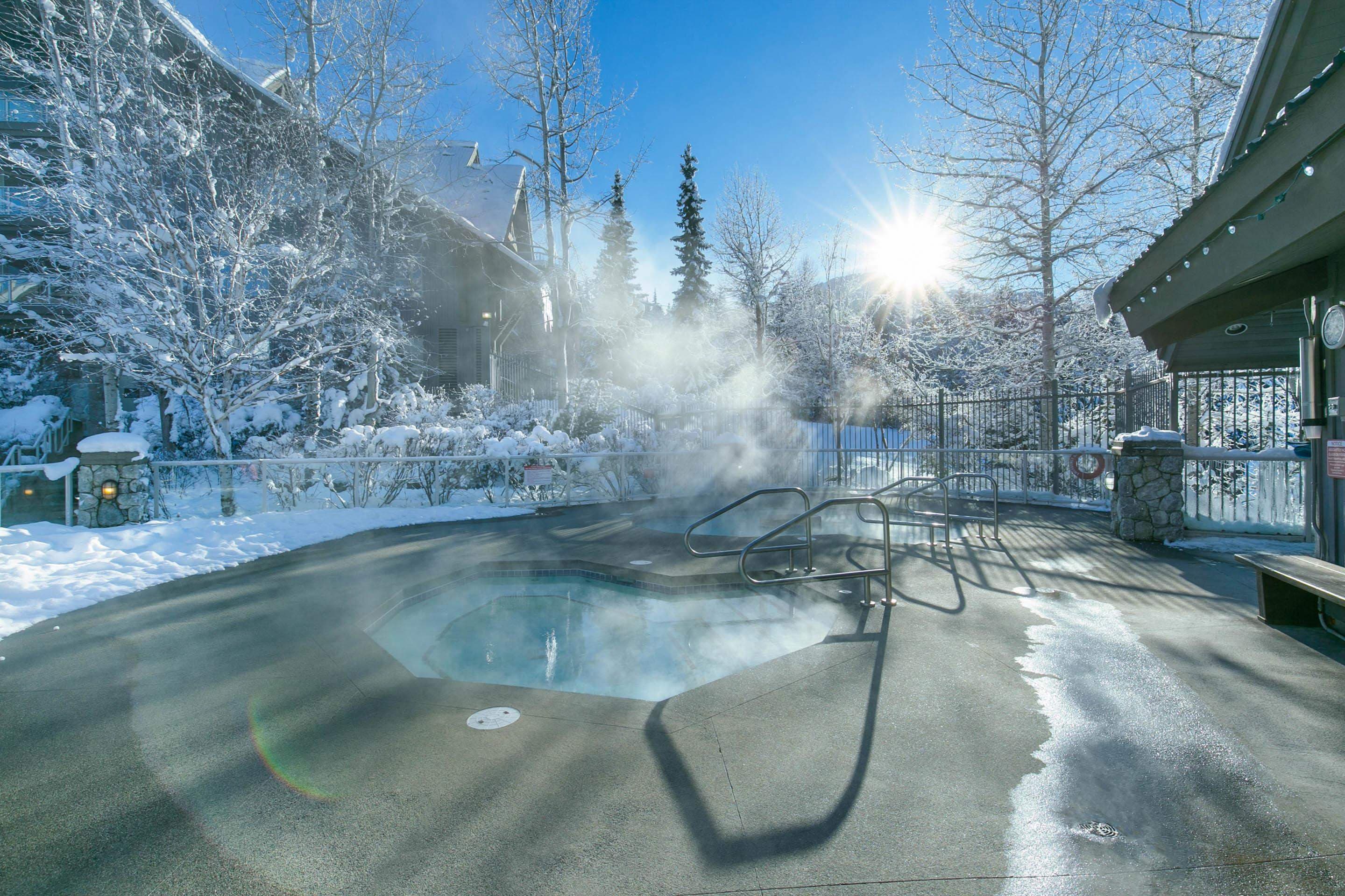 116 - 4800 Spearhead Drive, Whistler, V8E 1G1 — photo 4