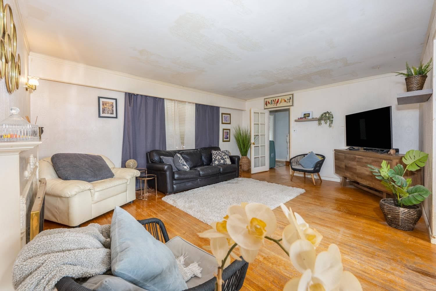 6580 Williams Road, Richmond, V7E 1K5 — photo 4
