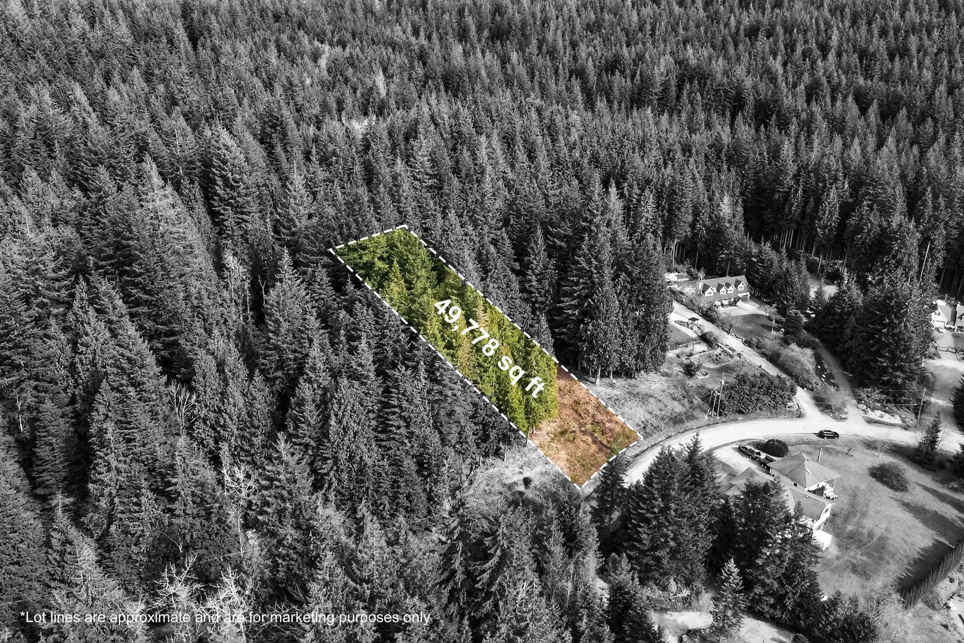 27629 128 Avenue, Maple Ridge, V2W 1N5 — photo 4