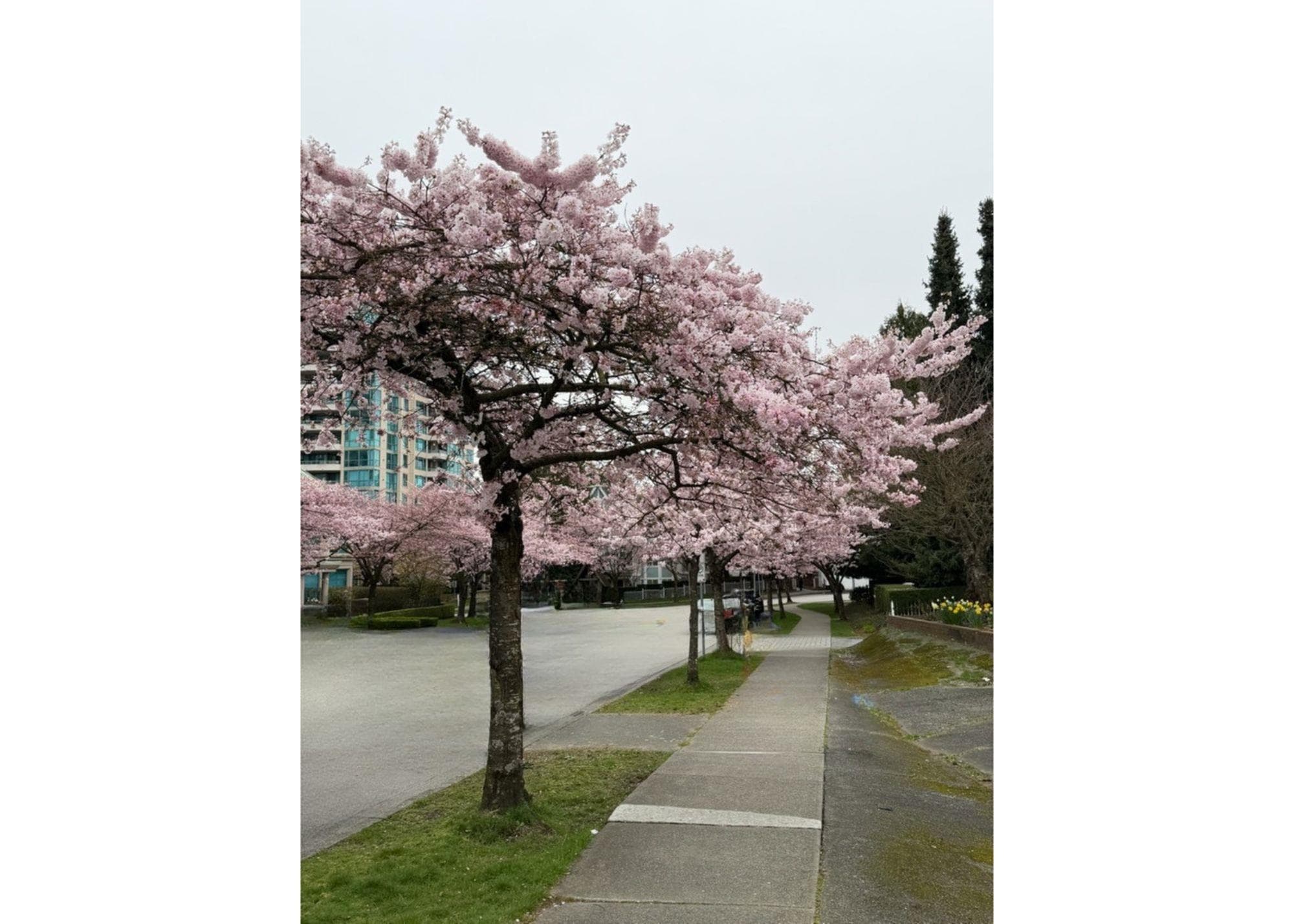 13 - 6577 Southoaks Crescent, Burnaby, V5E 4J9 — photo 3