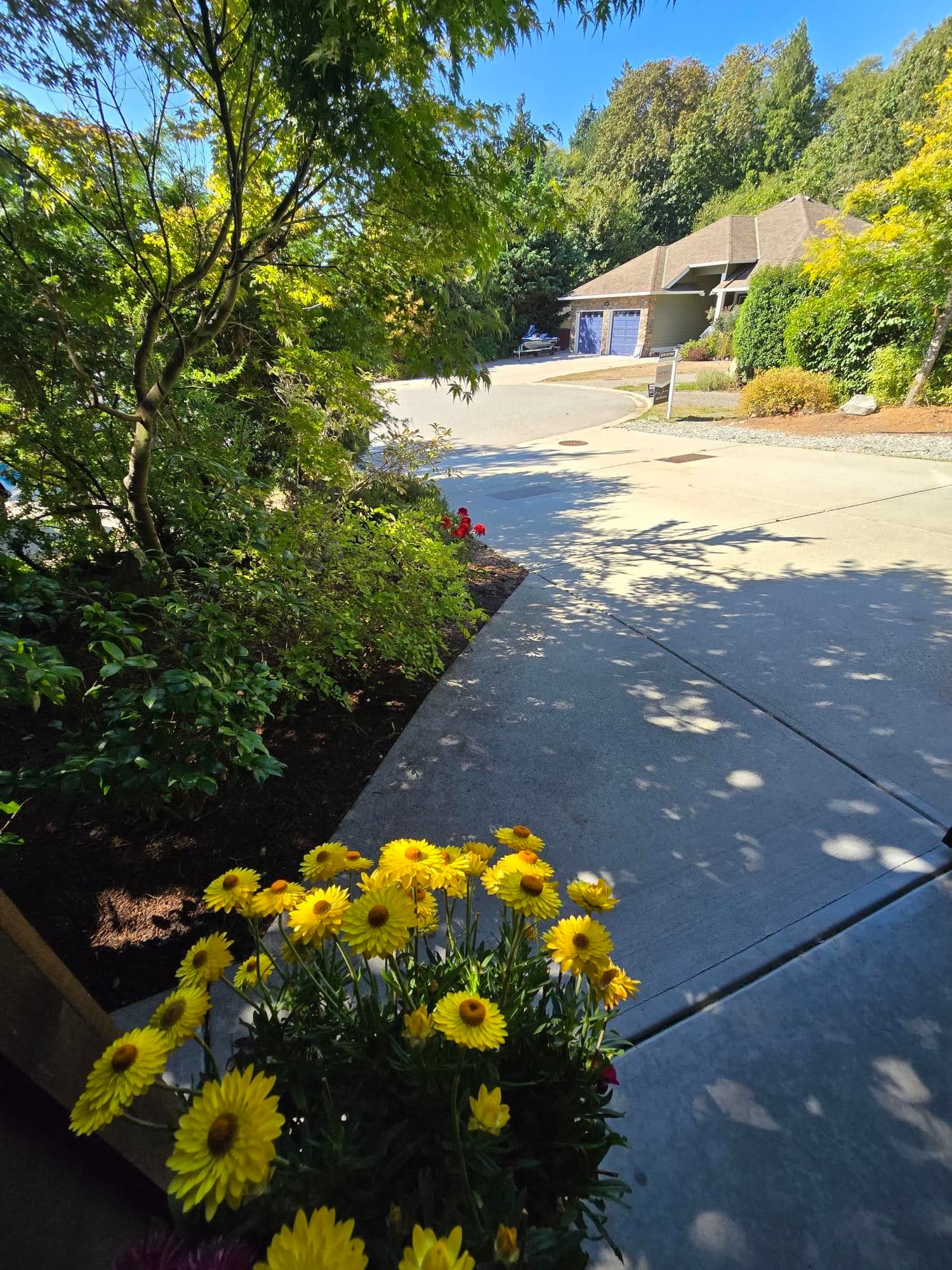 4995 Bay Road, Sechelt, V7Z 0E9 — photo 3