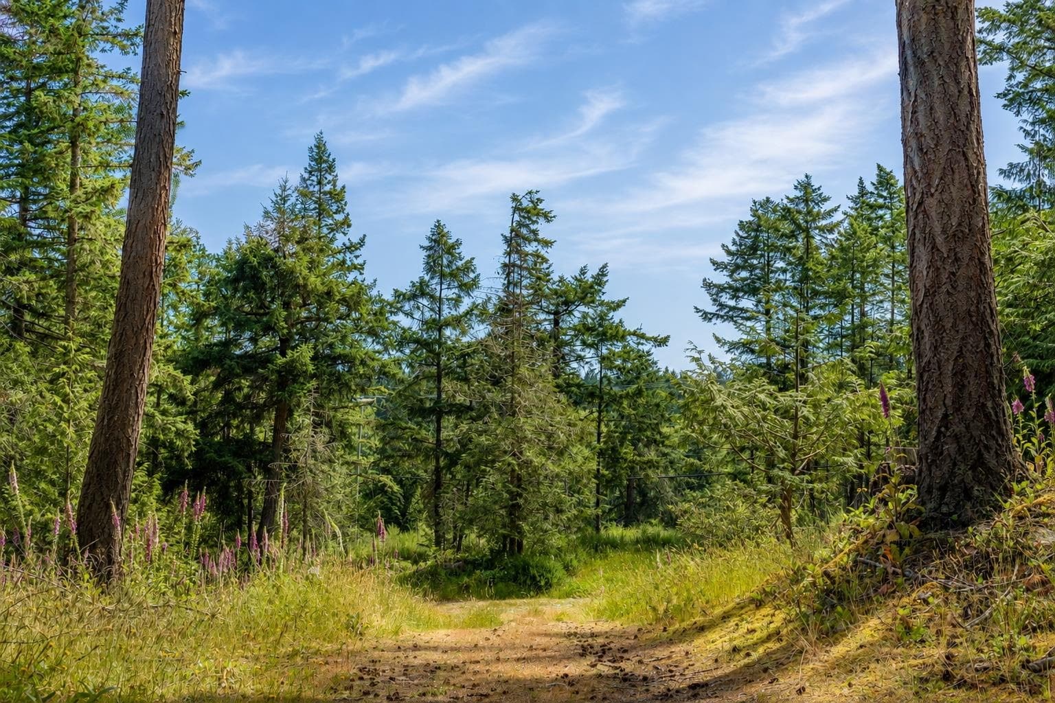 1-861 Bluff Road, Galiano Island, V0N 1P0 — photo 2
