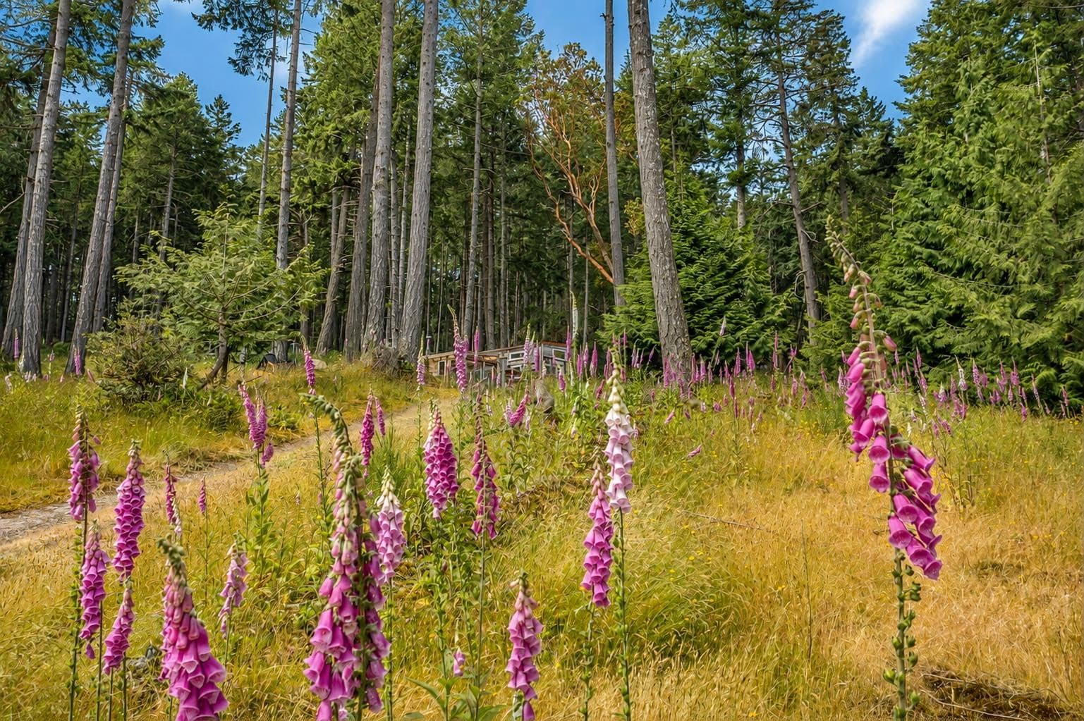 1-861 Bluff Road, Galiano Island, V0N 1P0 — photo 3