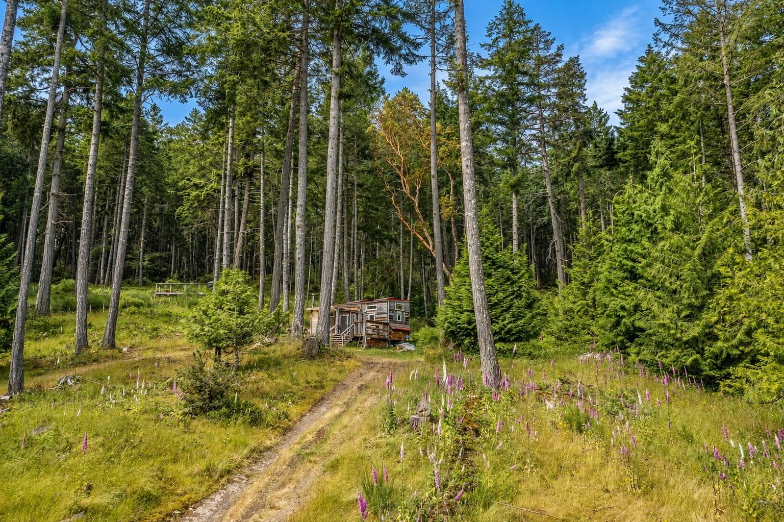 1-861 Bluff Road, Galiano Island, V0N 1P0 — photo 4