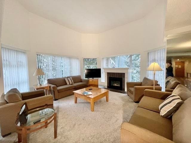 419 - 4910 Spearhead Place, Whistler, V0N 4B0 — photo 5