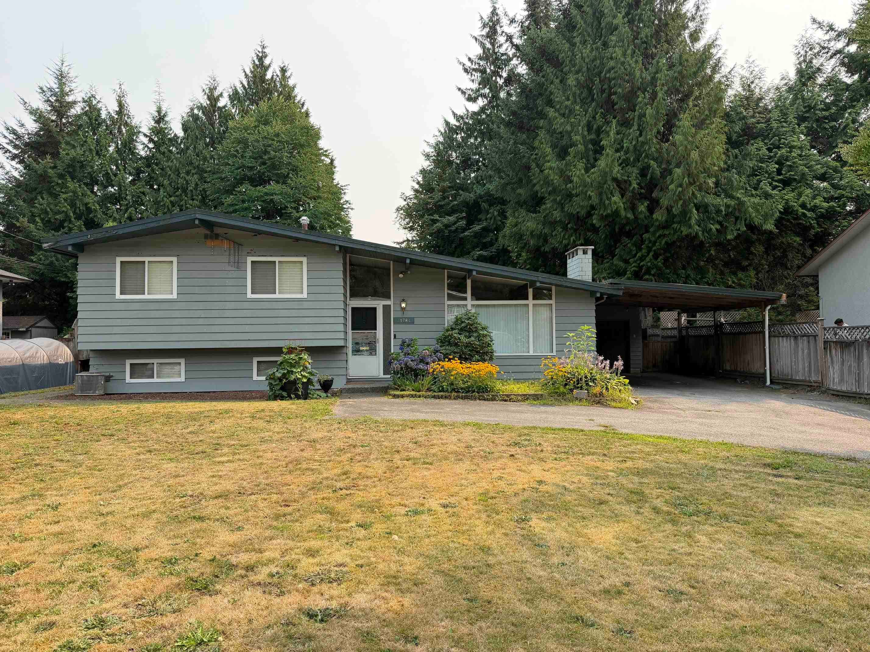 21784 Donovan Avenue, Maple Ridge