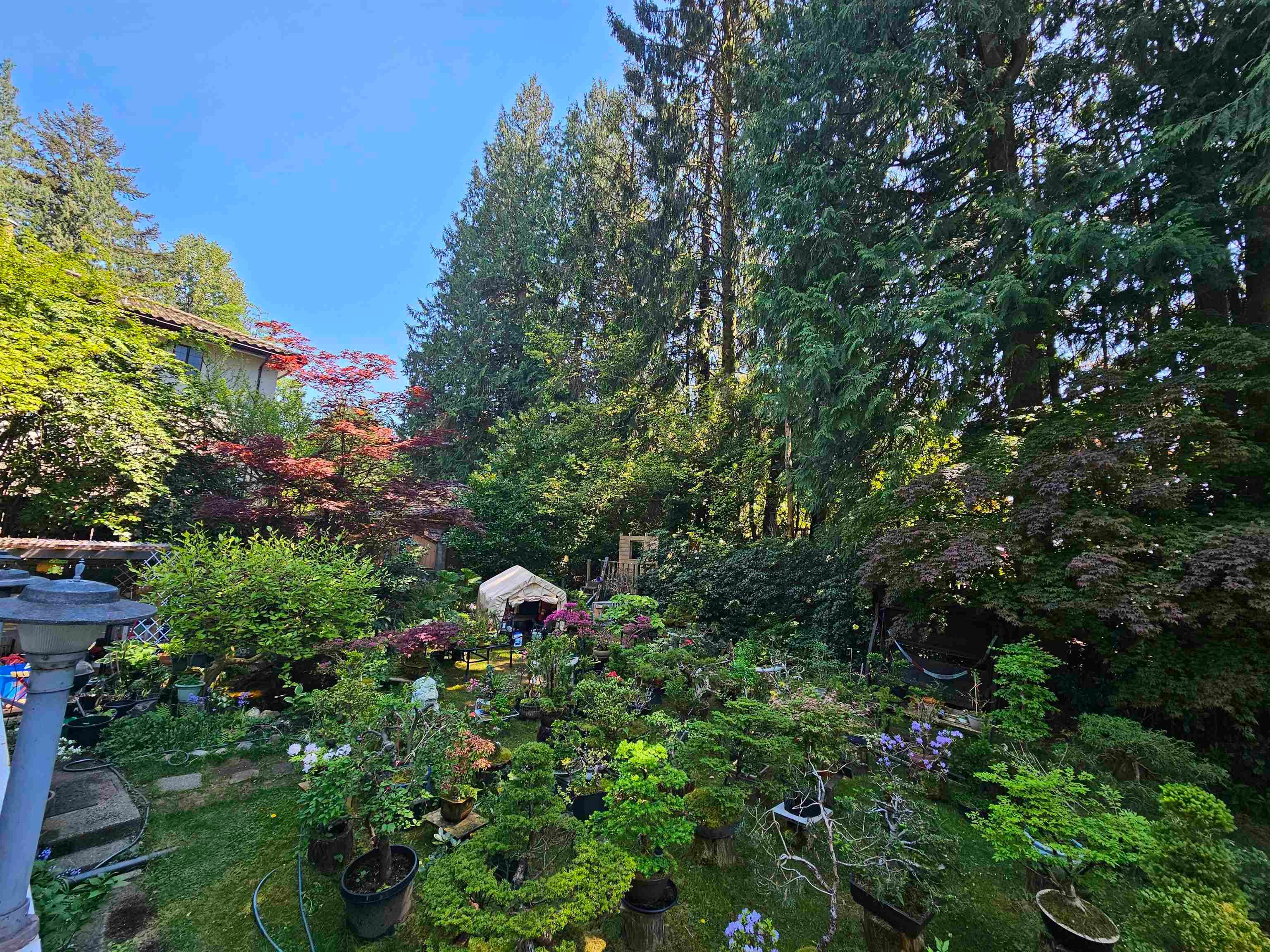 435 E Osborne Road, North Vancouver, V7N 1M4 — photo 2