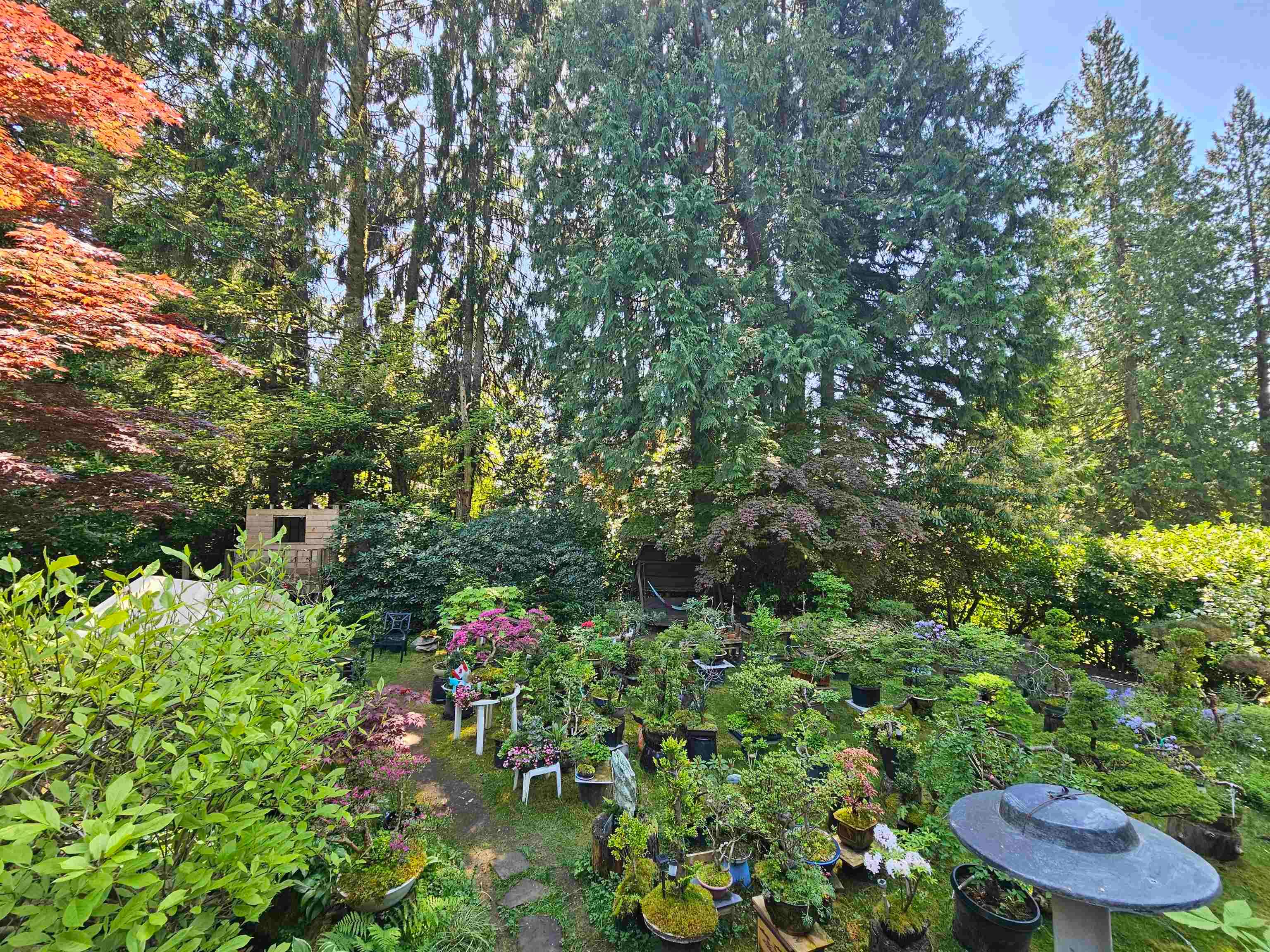 435 E Osborne Road, North Vancouver, V7N 1M4 — photo 4