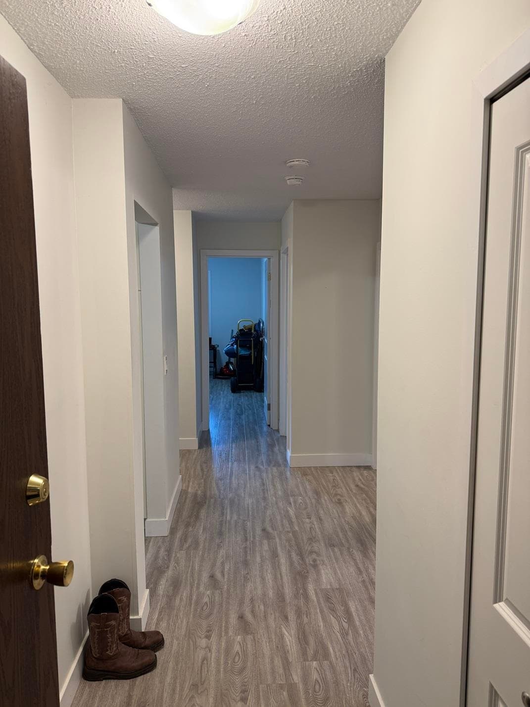 103 - 46374 Margaret Avenue, Chilliwack, V2P 2H1 — photo 3