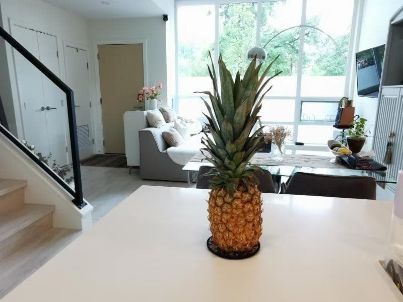 TH12 - 10388 133 Street, Surrey, V3T 3Z1 — photo 3