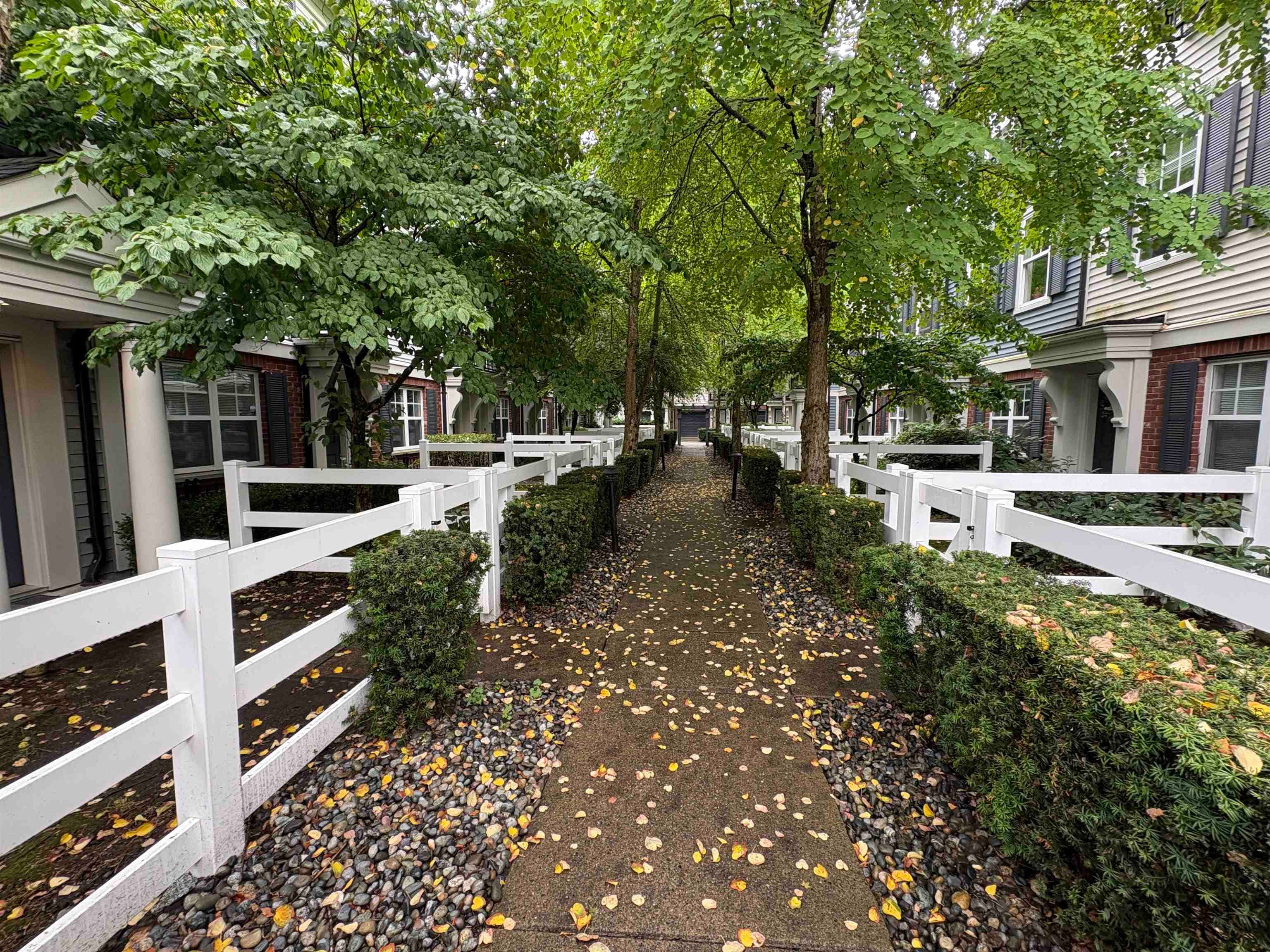 11 - 2495 Davies Avenue, Port Coquitlam, V3C 0B2 — photo 4