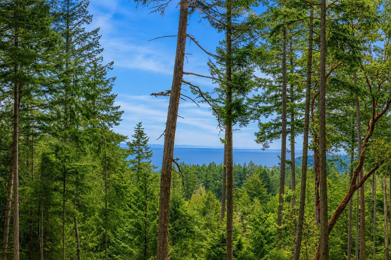 2-861 Bluff Road, Galiano Island