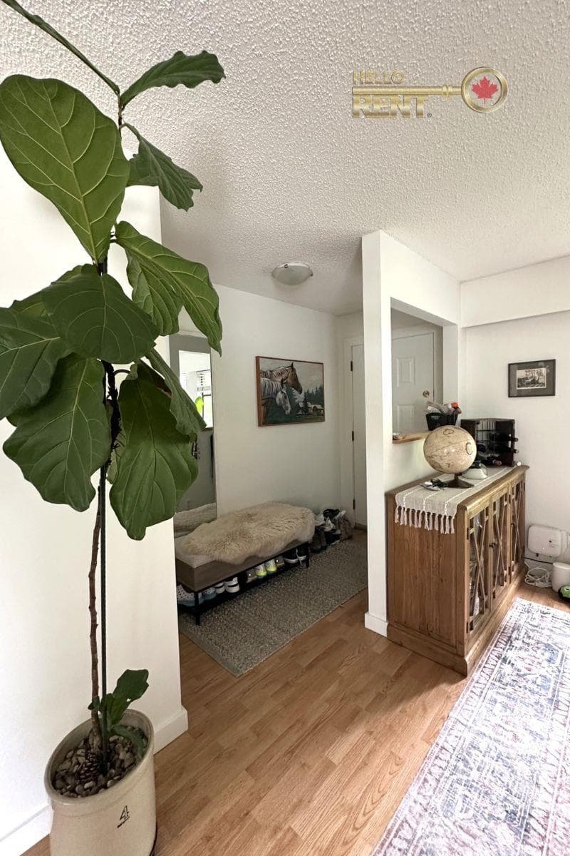 232 E 17th Street, North Vancouver, V7L 2V7 — photo 5