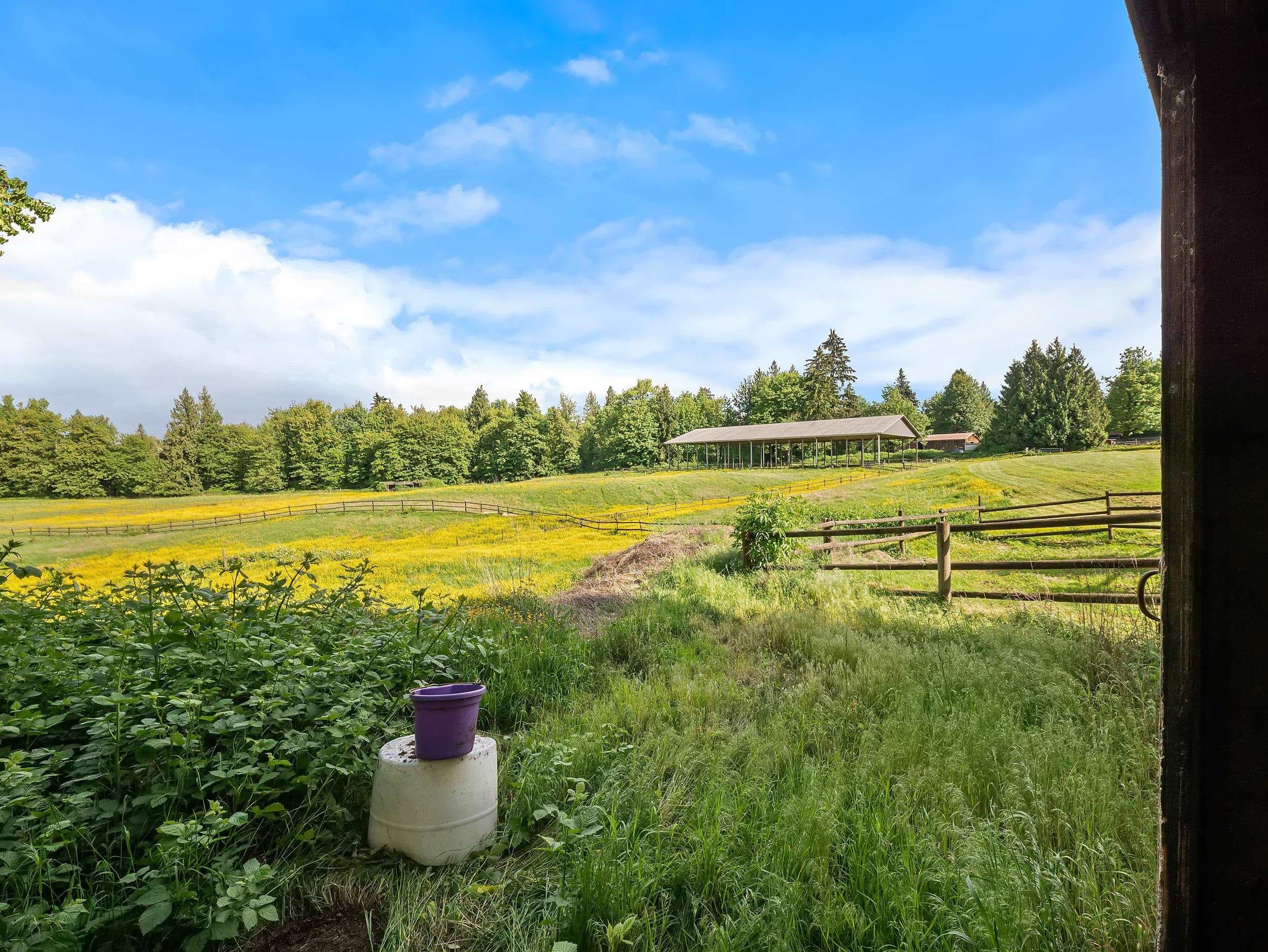 29598 Galahad Crescent, Abbotsford, V4X 2E4 — photo 5