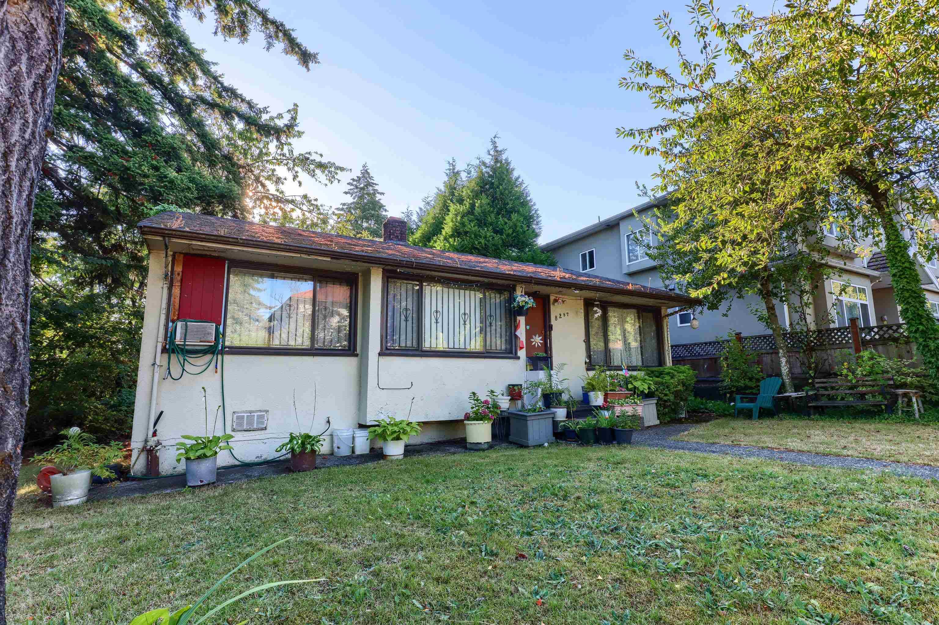 8287 Victoria Drive, Vancouver, V5P 4A7 — photo 3