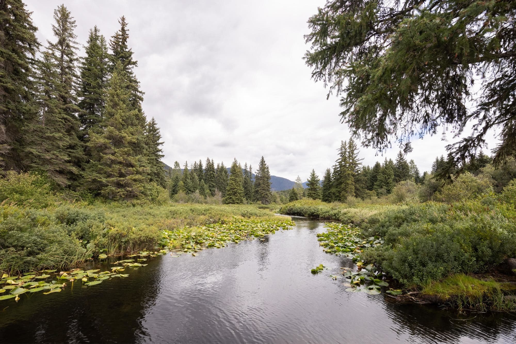 103 - 6850 Crabapple Drive, Whistler, V8E 0C5 — photo 5