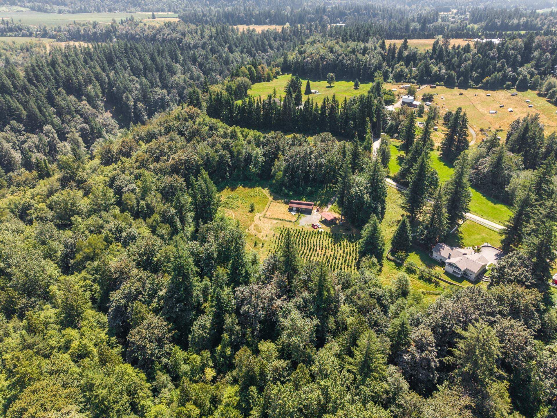 1420 Janovick Road, Columbia Valley, V2R 4X6 — photo 5