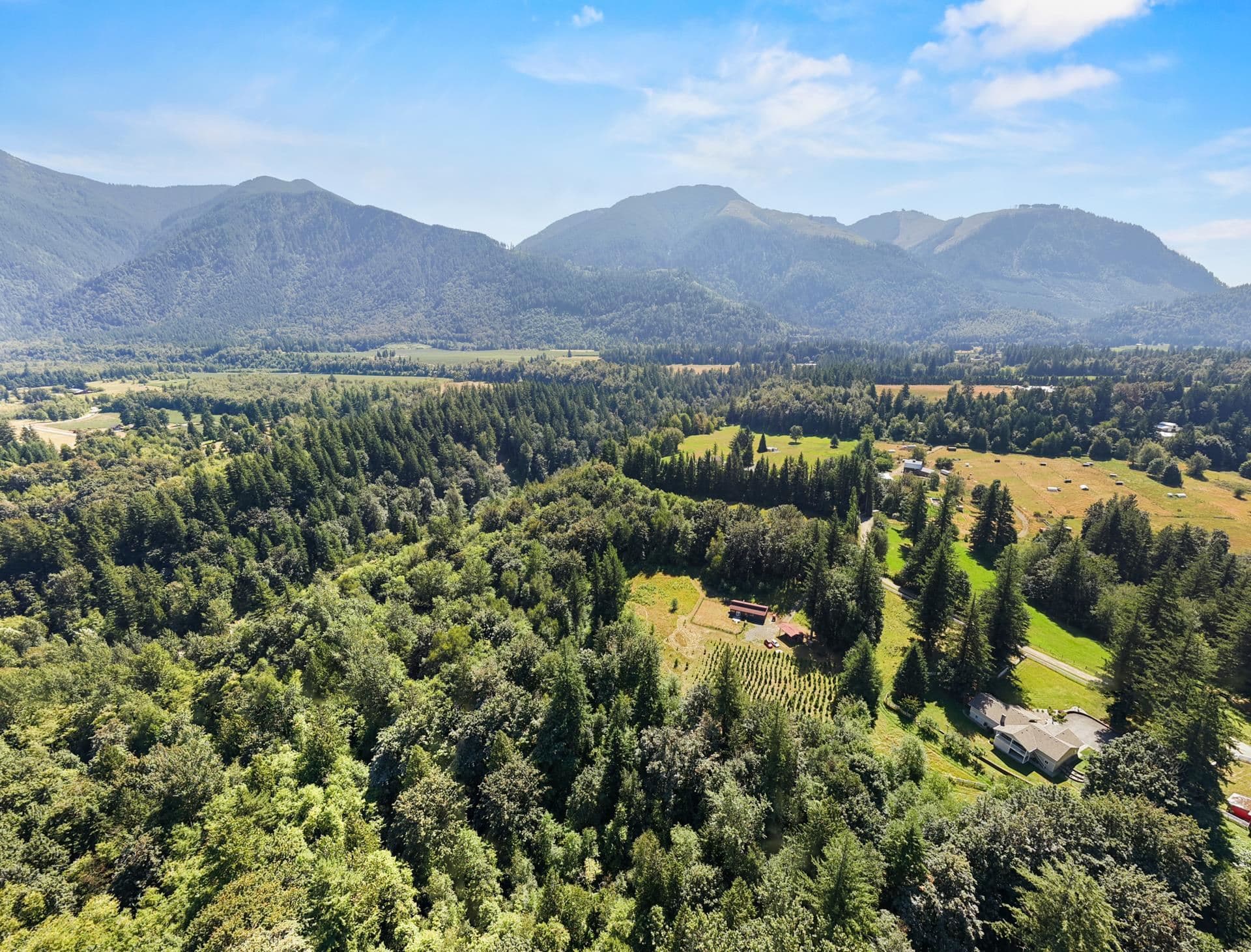 1420 Janovick Road, Columbia Valley, V2R 4X6 — photo 4