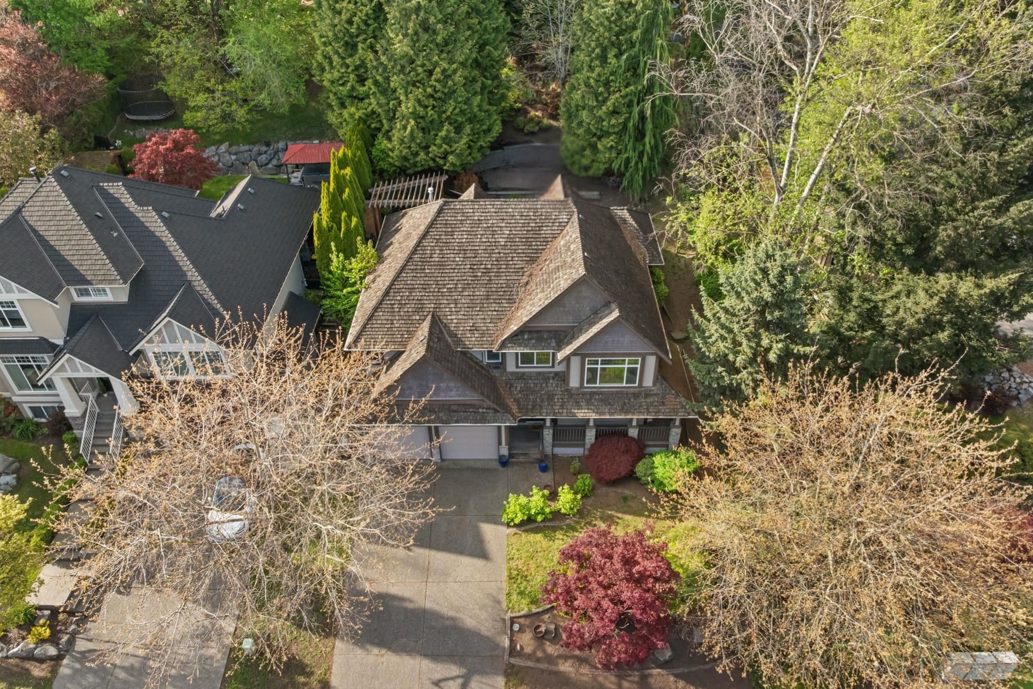 35823 Graystone Drive, Abbotsford, V3G 1K7 — photo 3