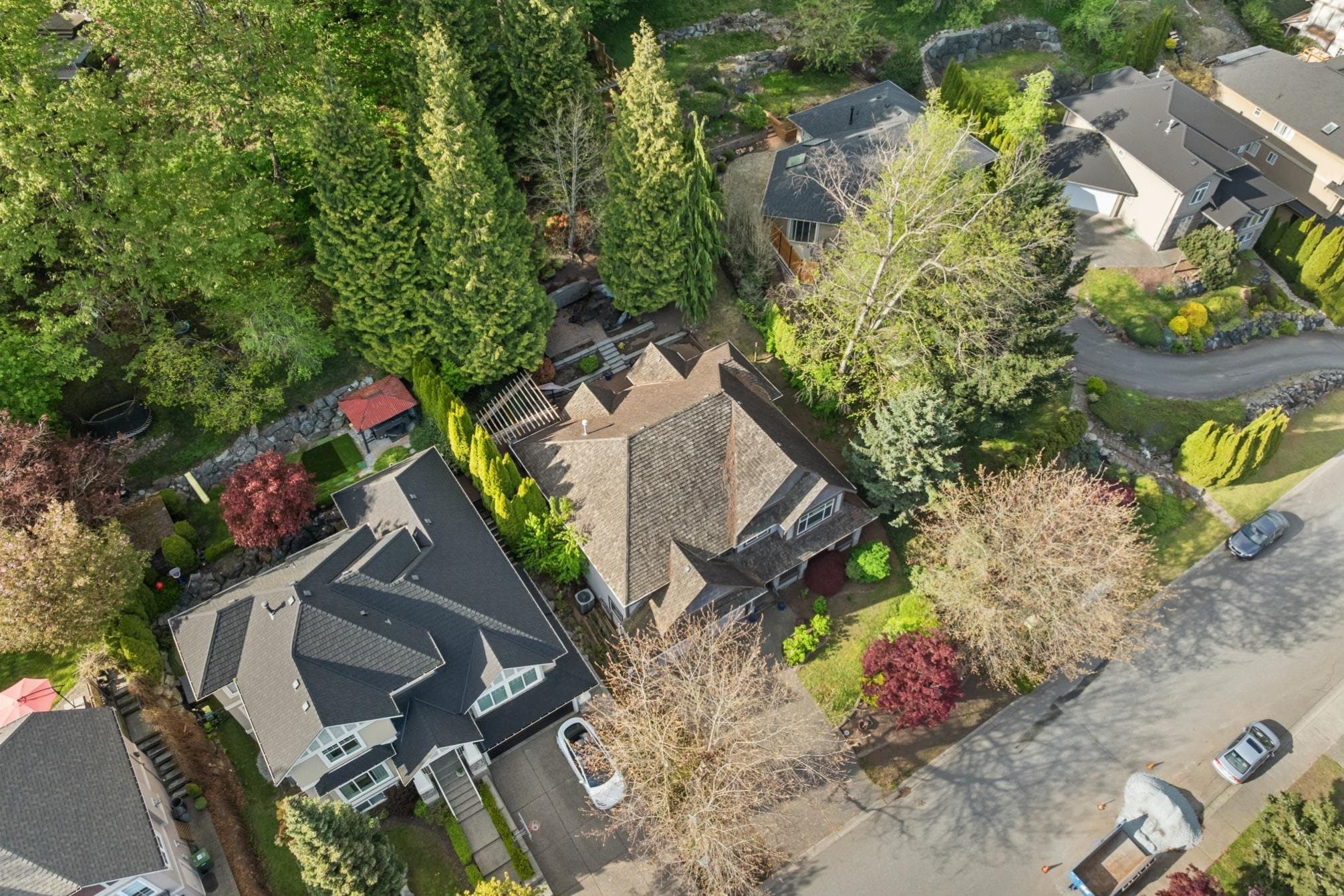 35823 Graystone Drive, Abbotsford, V3G 1K7 — photo 4